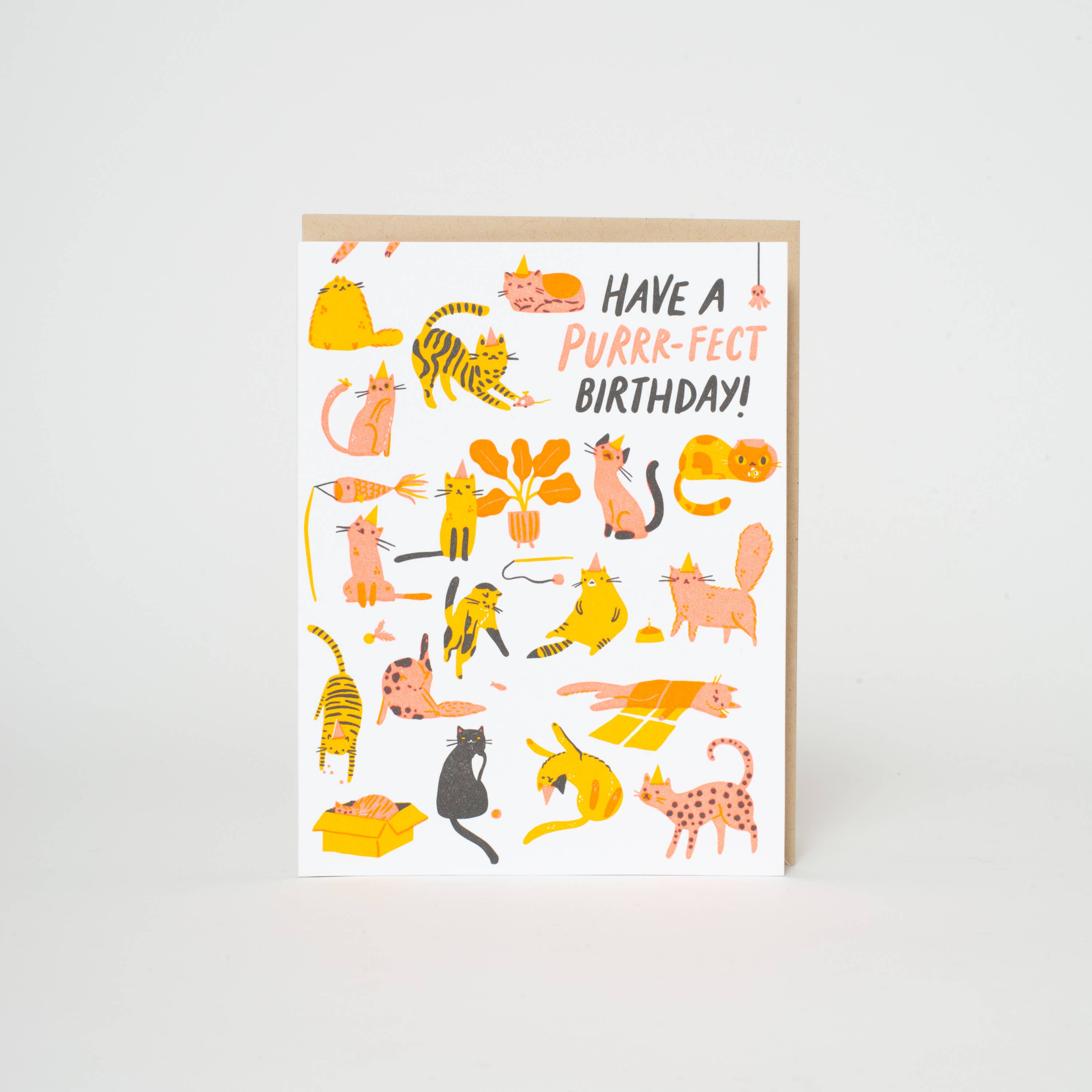 Birthday Purr-fect Cats Letterpress Greeting Card by Hello!Lucky: Plastic sleeve