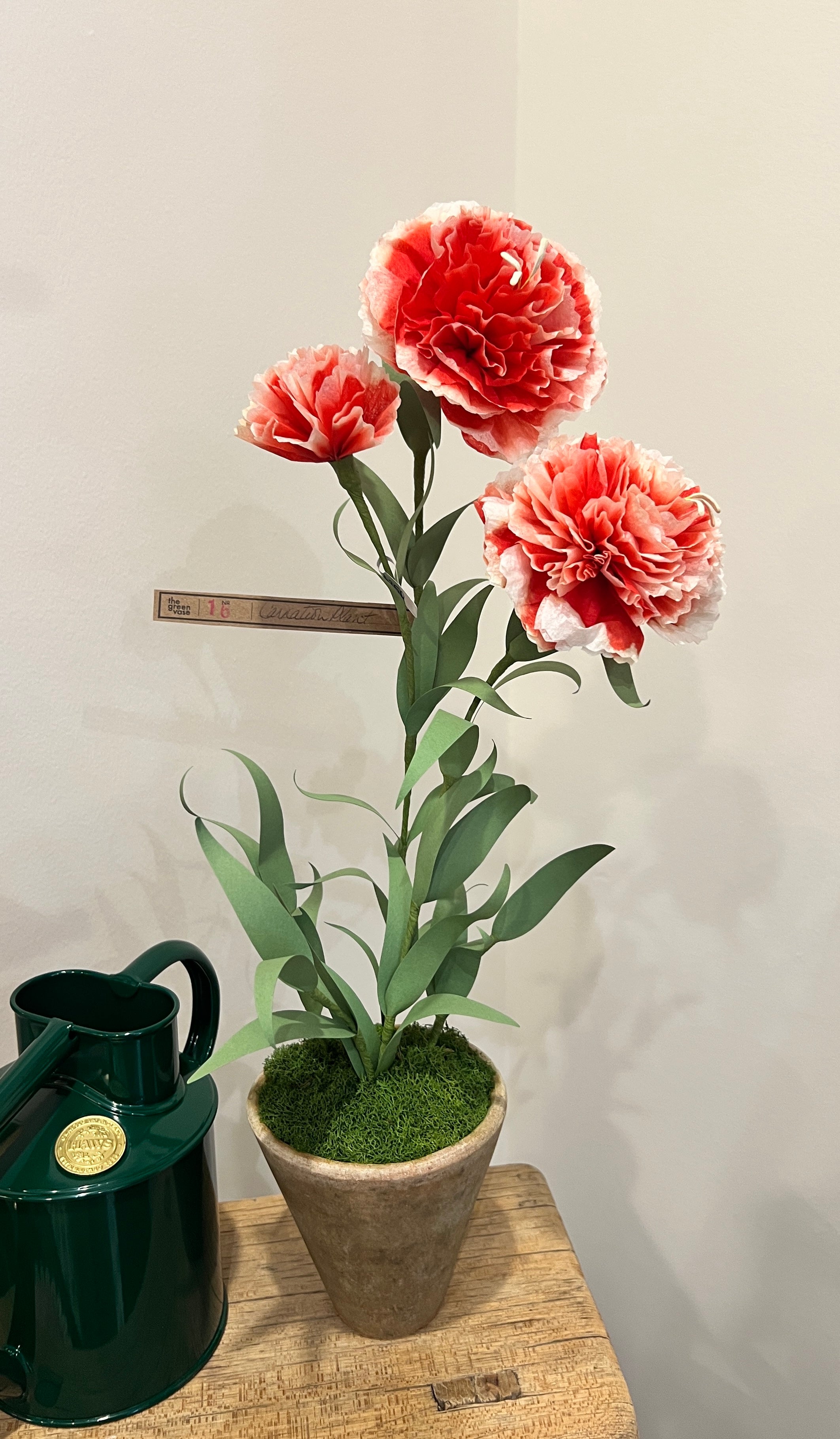 Green Vase Red & White Carnations