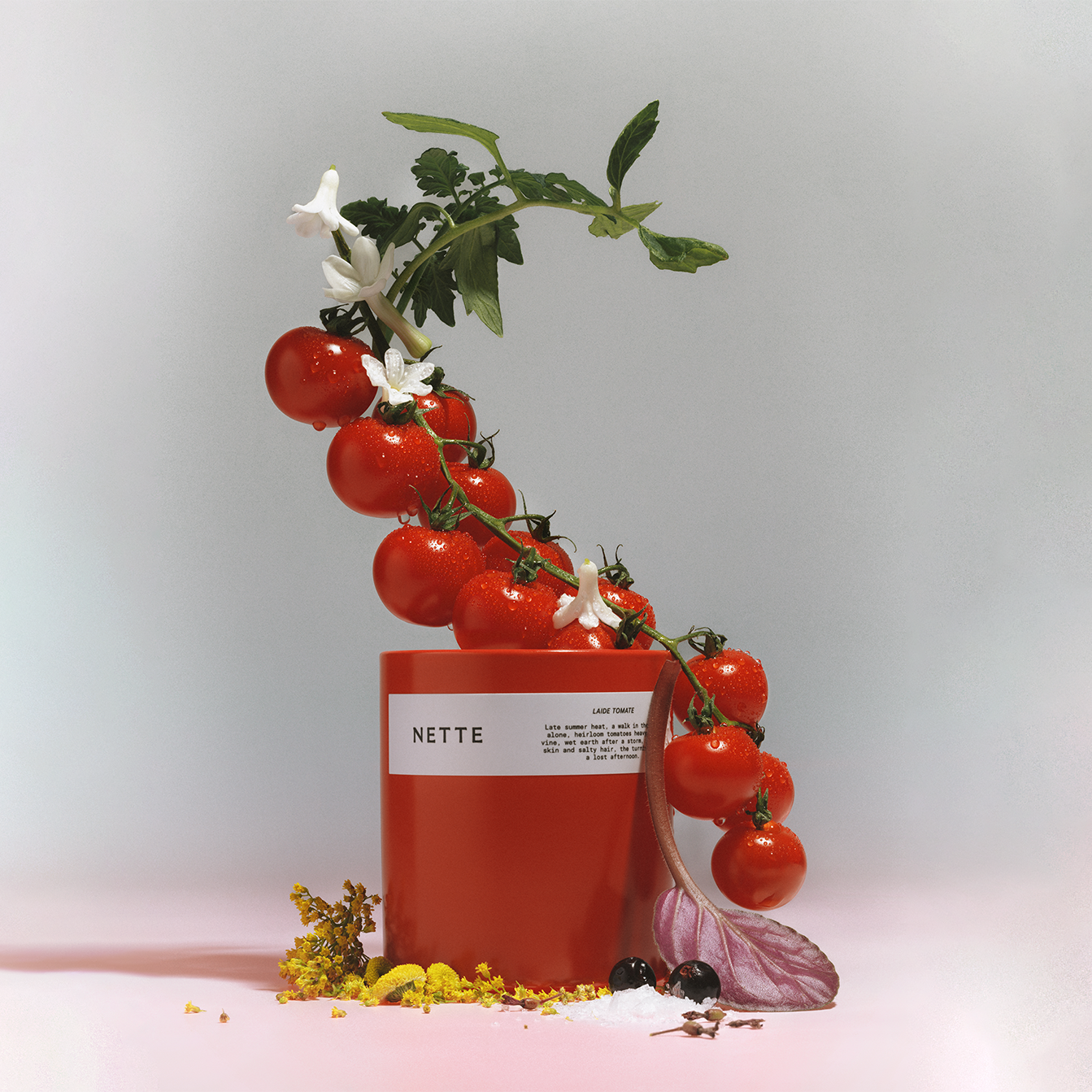 Nette Laide Tomate Scented Candle 11oz