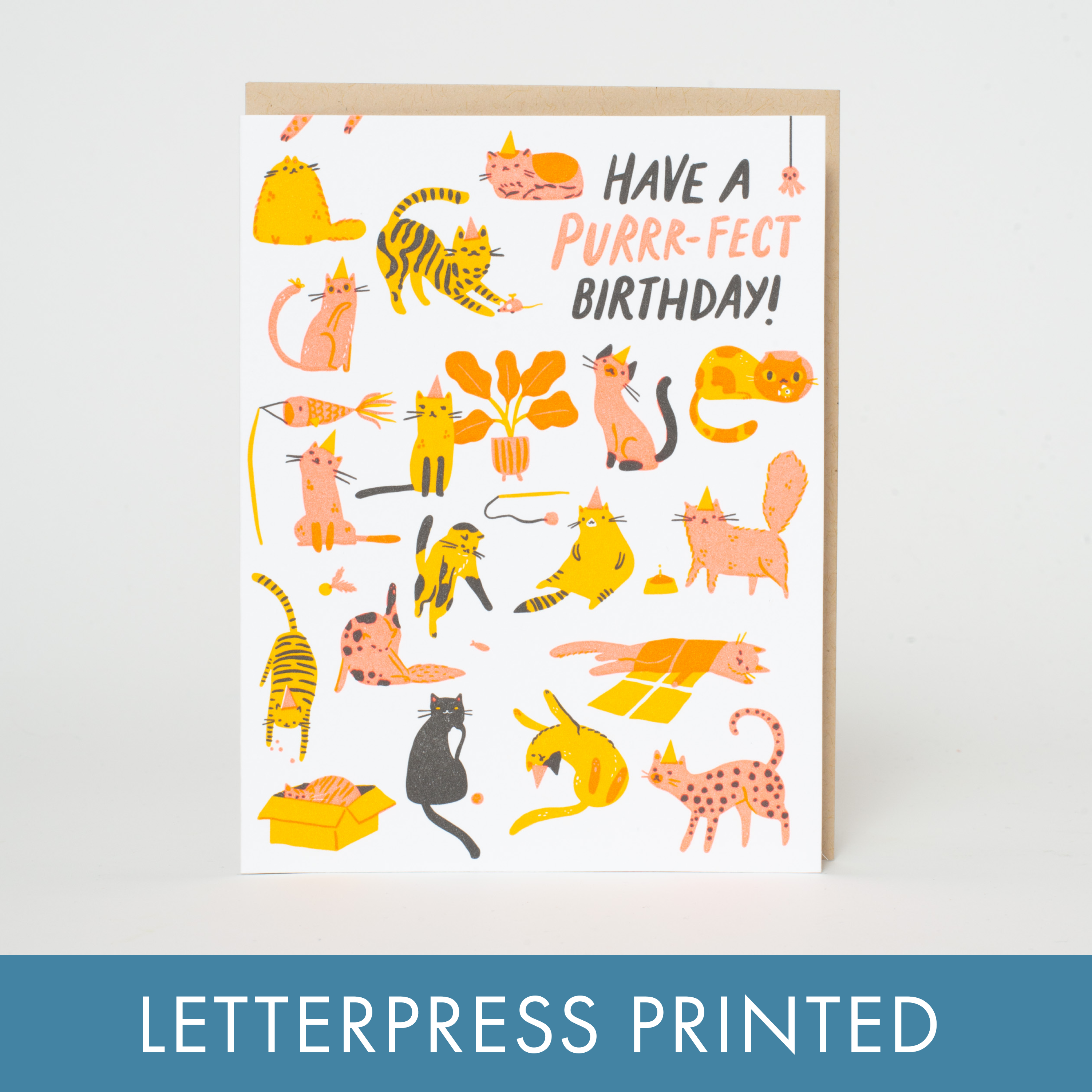 Birthday Purr-fect Cats Letterpress Greeting Card by Hello!Lucky: Plastic sleeve