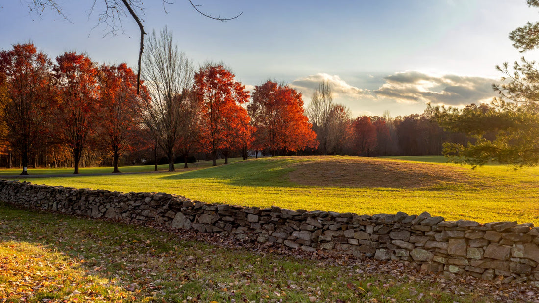 Middleburg Named One of Virginia’s Best Getaways from Washington, DC