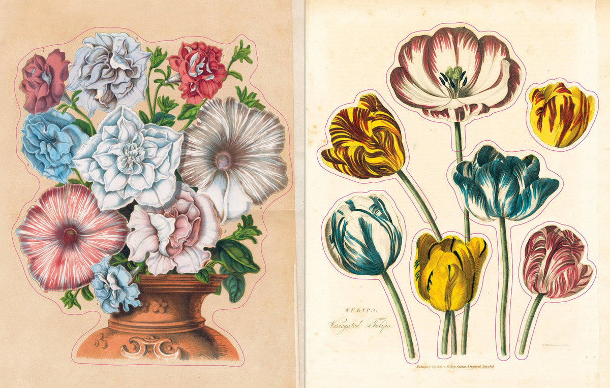 John Derian Sticker Book: Hardcover