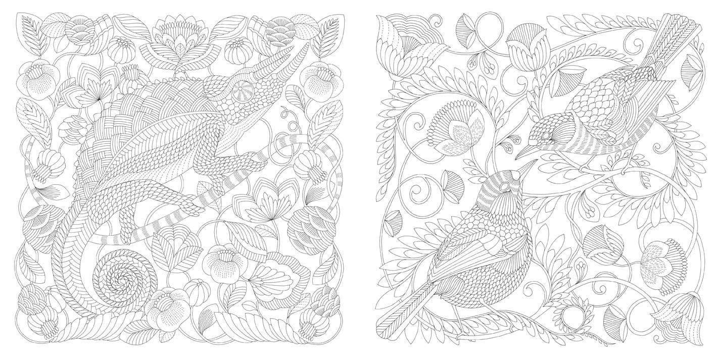 Millie Marotta's Wildlife Wonders Coloring Book
