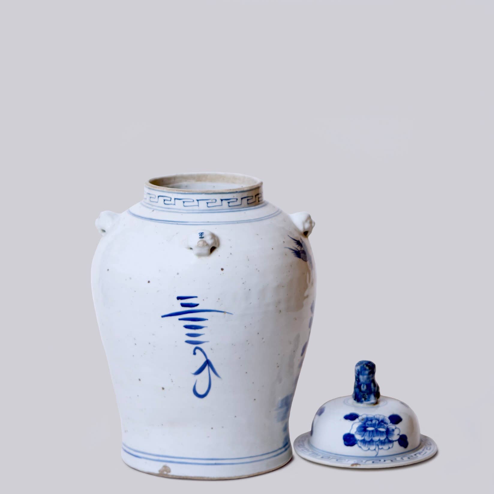 Bird and Flower Blue and White Porcelain Temple Jar
