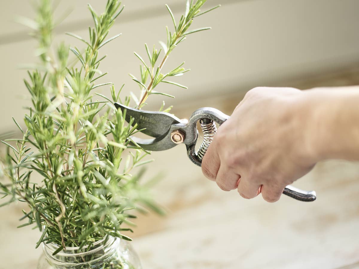 Pruner - Premium Gardening Tool