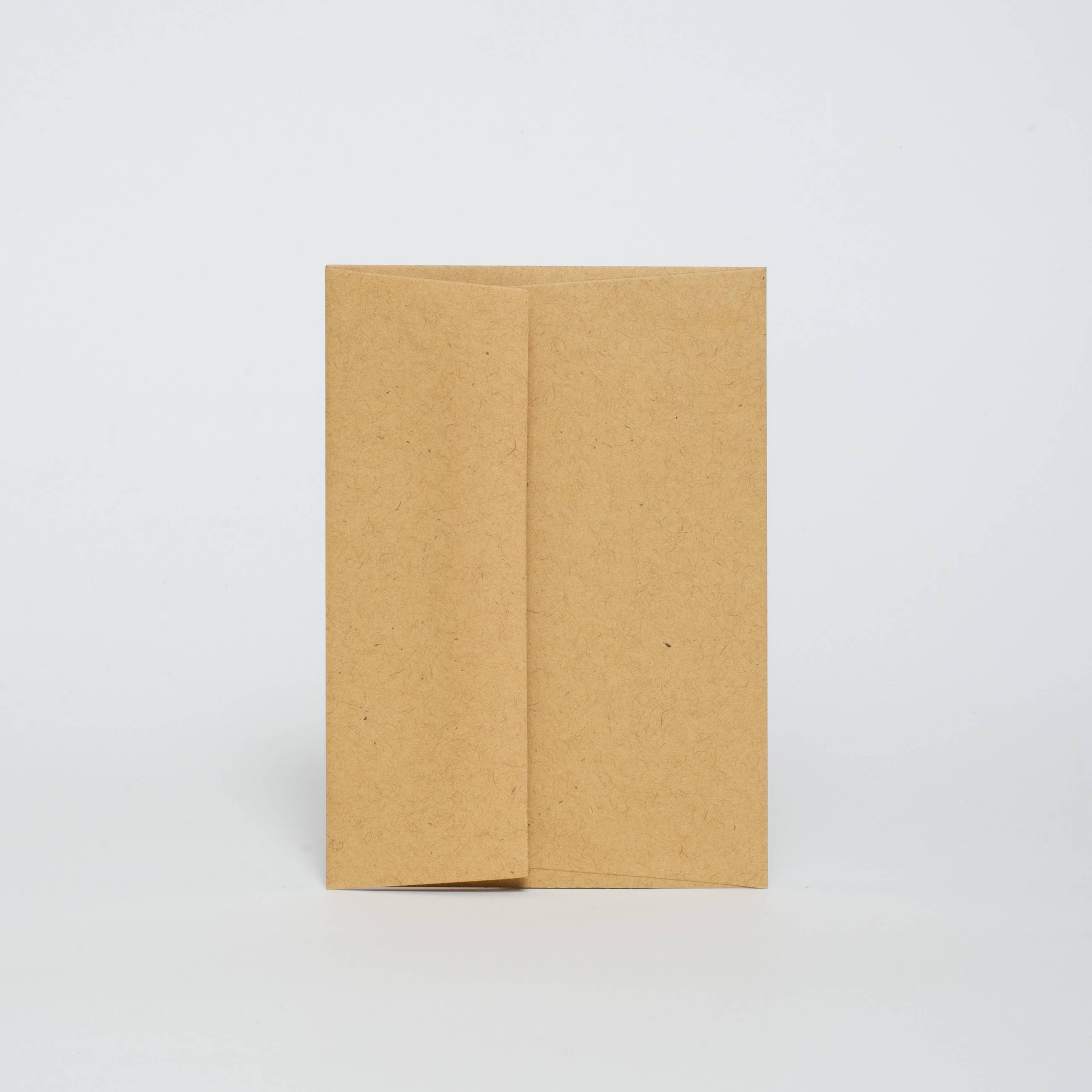 Baby Congrats Pelican Welcome Letterpress Greeting Card by Egg Press: Plastic sleeve