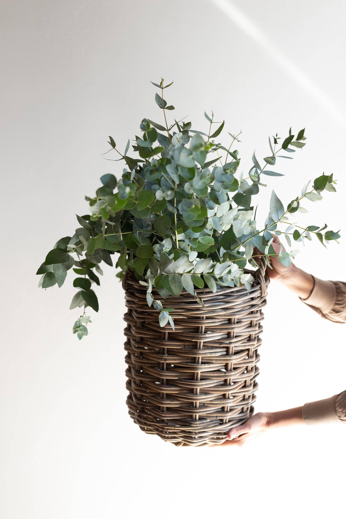 Rattan Round Basket: XLarge - 21" H