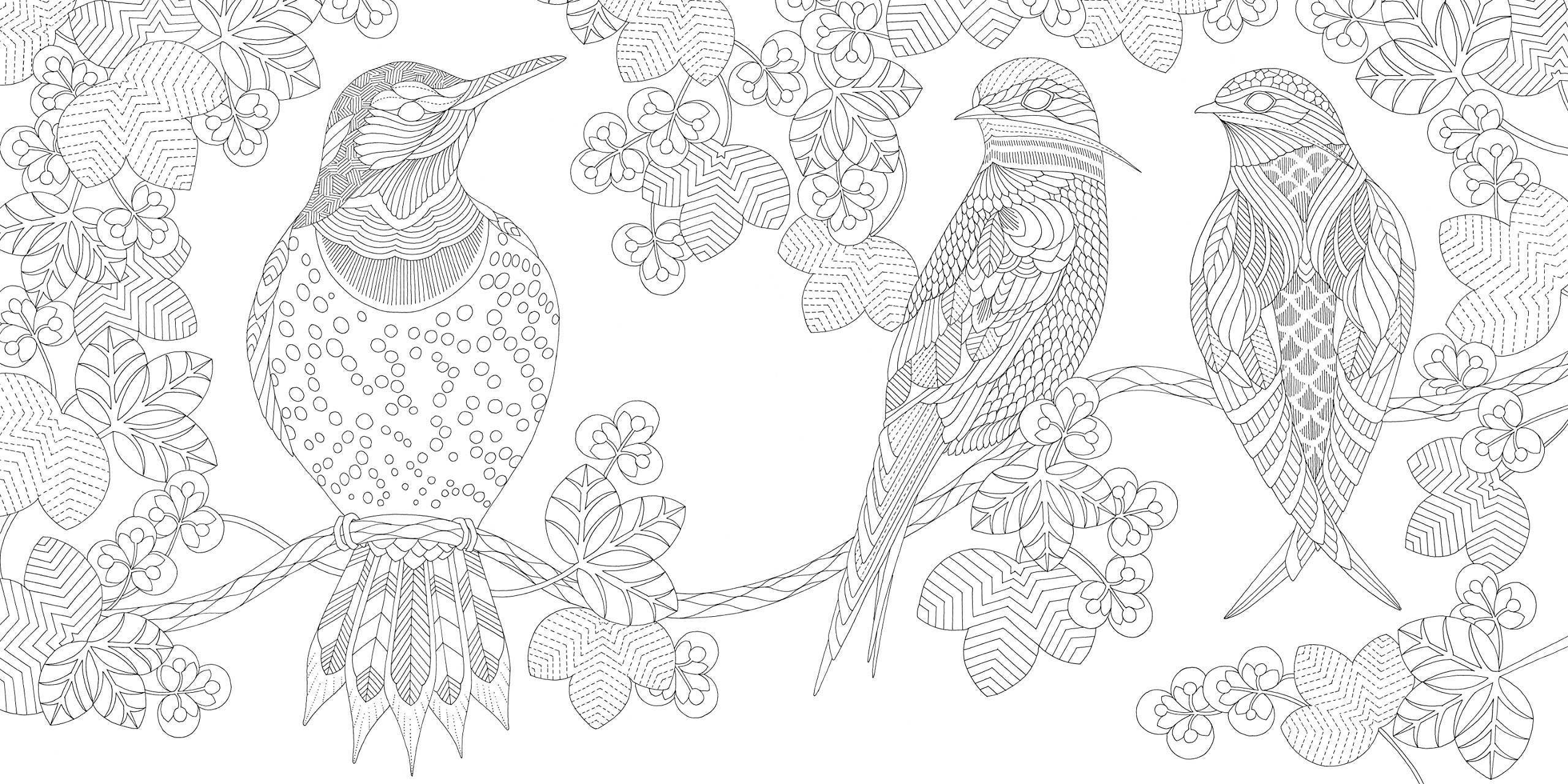 Millie Marotta Beautiful Birds and Treetops Coloring Book