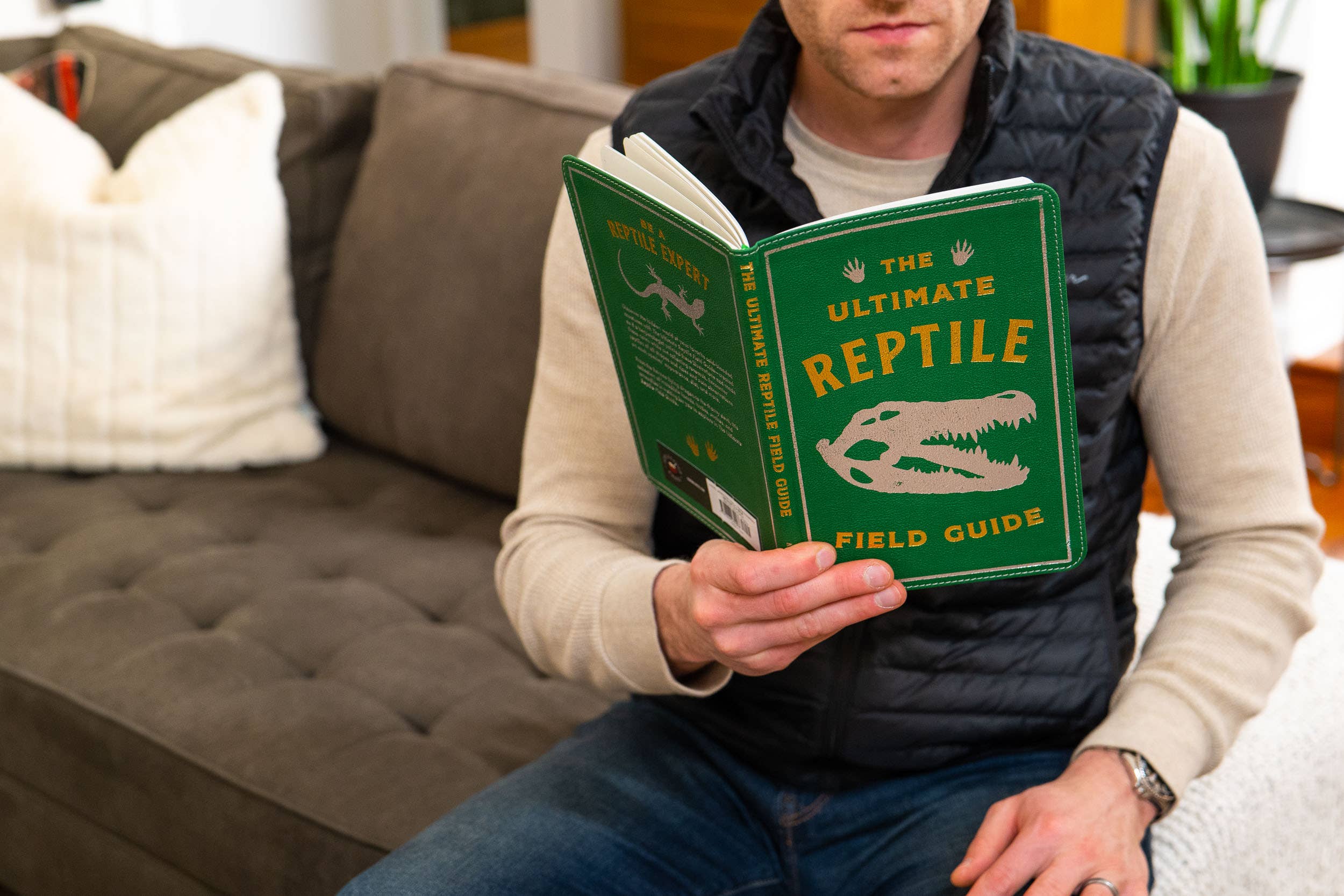 Ultimate Reptile Field Guide Illustrated by Csotonyi