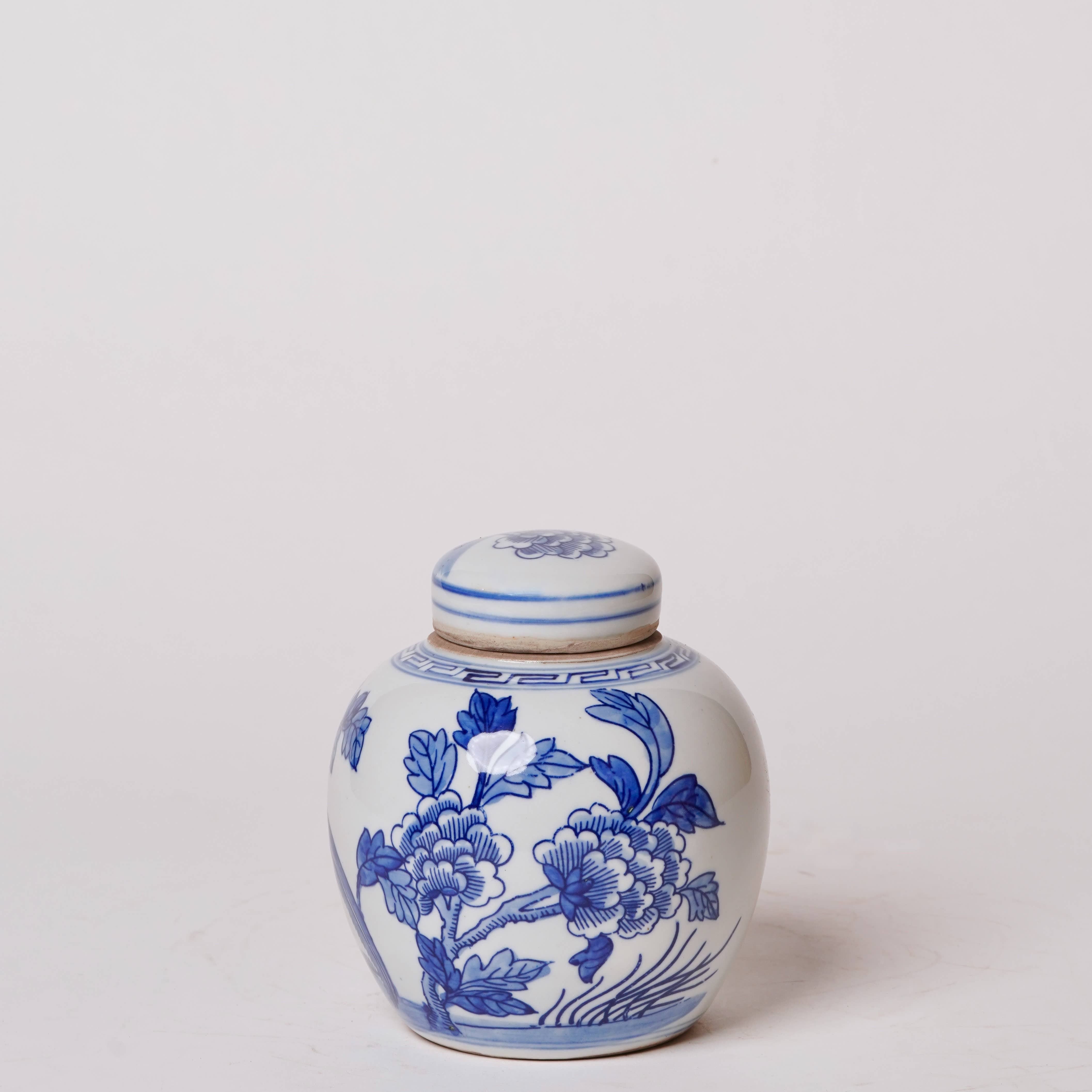 Blue and White Porcelain Golden Pheasant Round Storage Jar