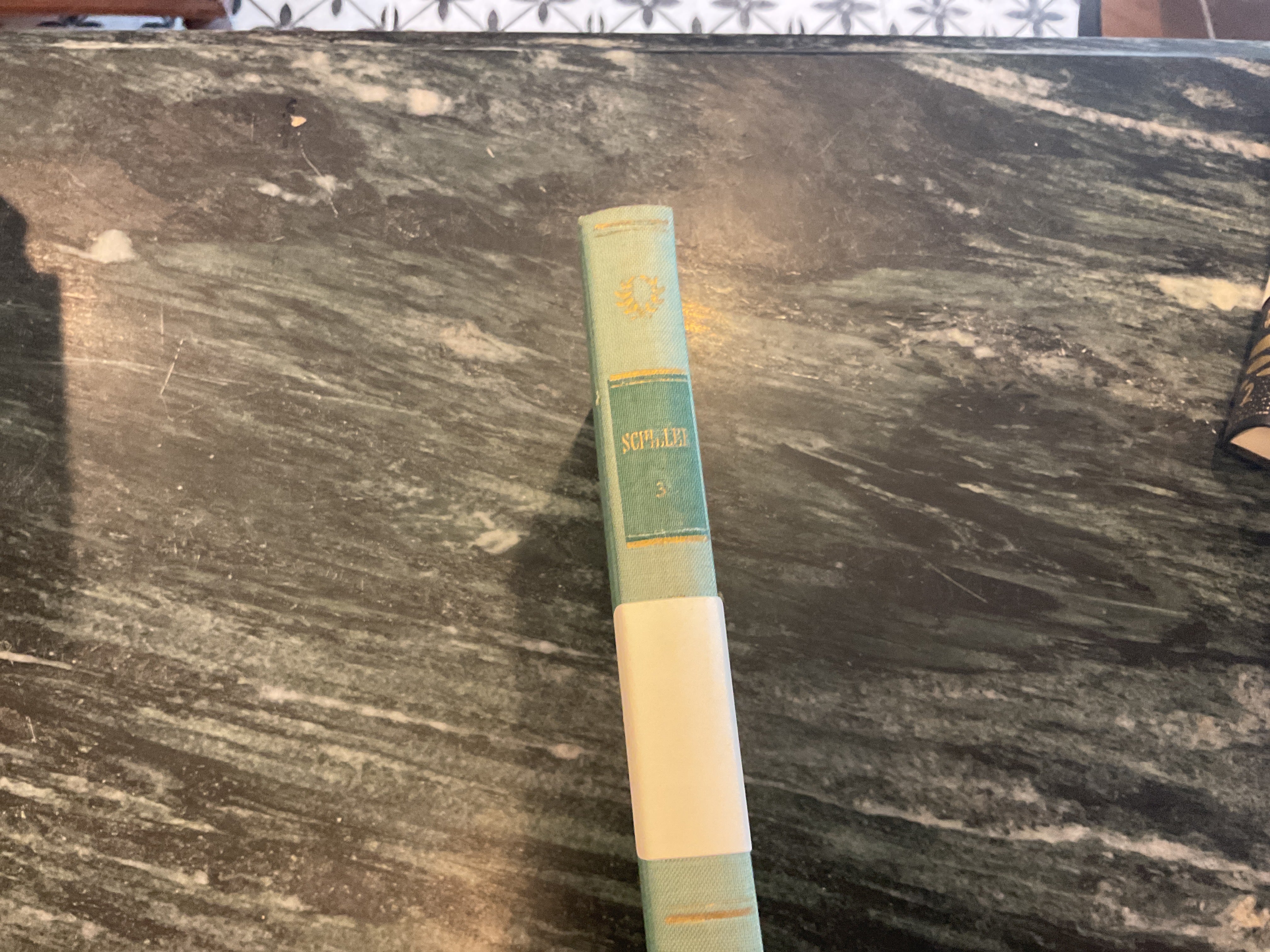Vintage About Blanks Notebook: Schiller