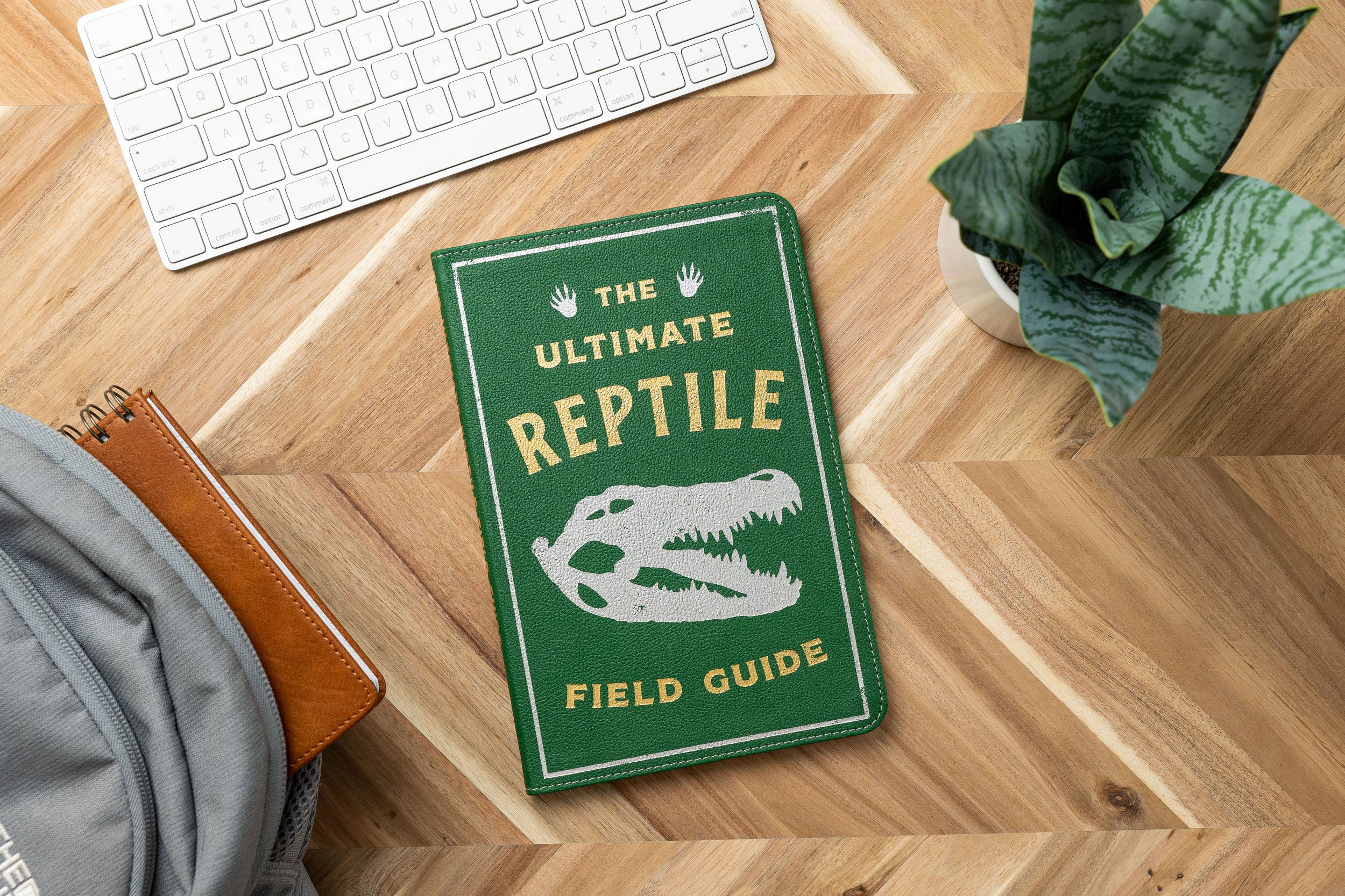 Ultimate Reptile Field Guide Illustrated by Csotonyi