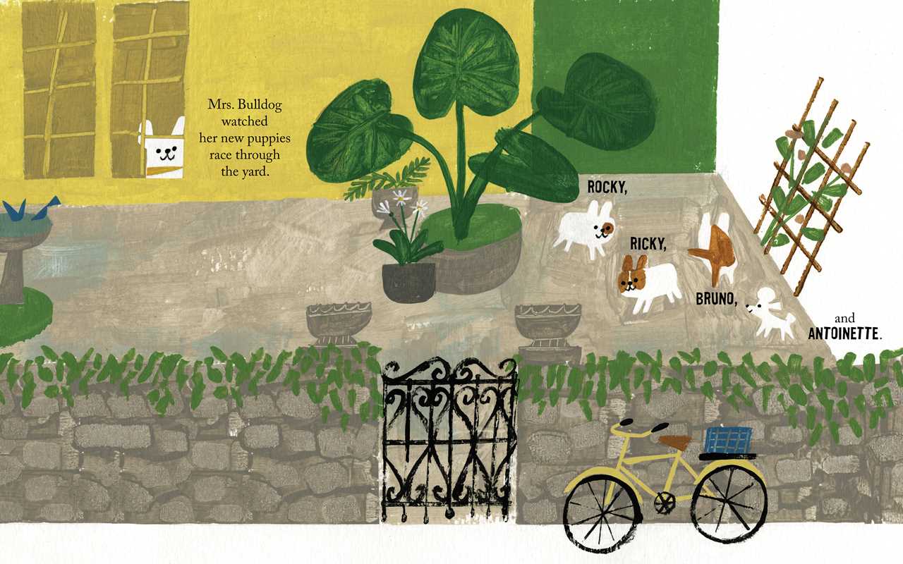 Antoinette by Kelly DiPucchio: Hardcover; 40 pages / English