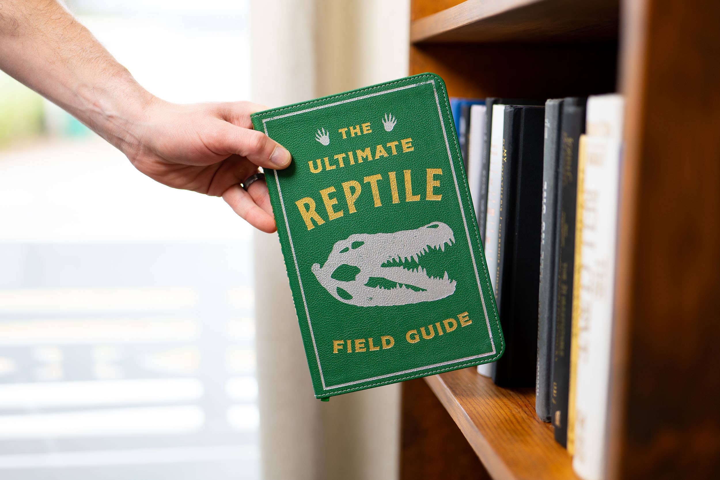 Ultimate Reptile Field Guide Illustrated by Csotonyi