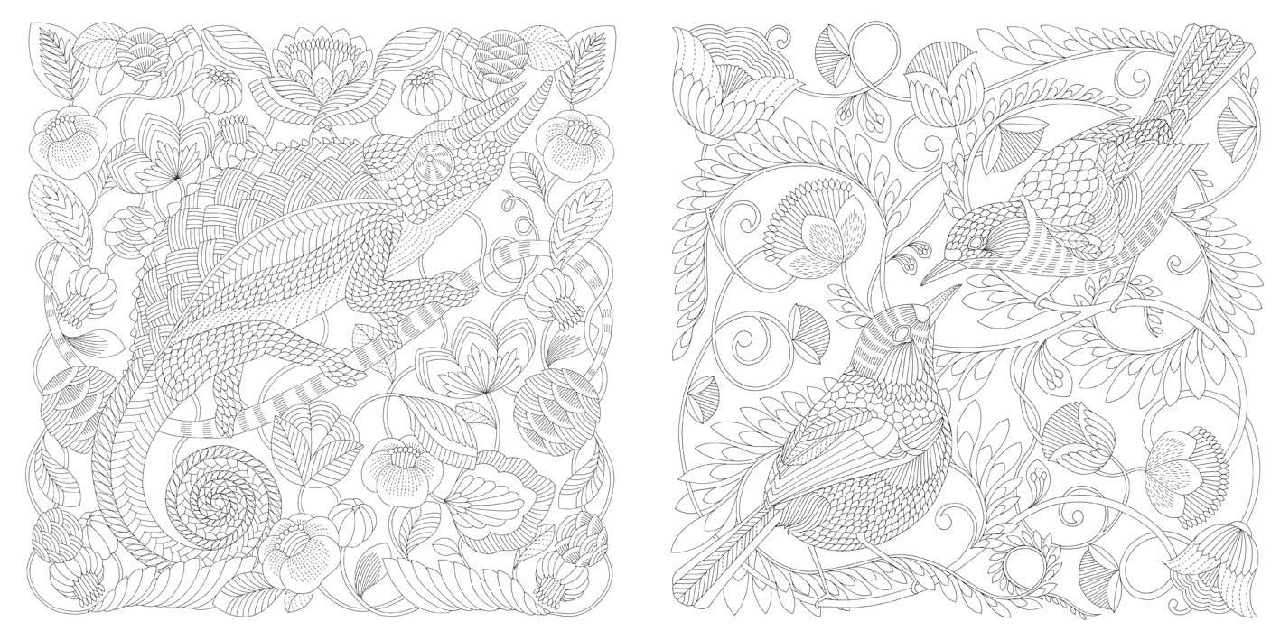 Millie Marotta Animal Kingdom Coloring Book