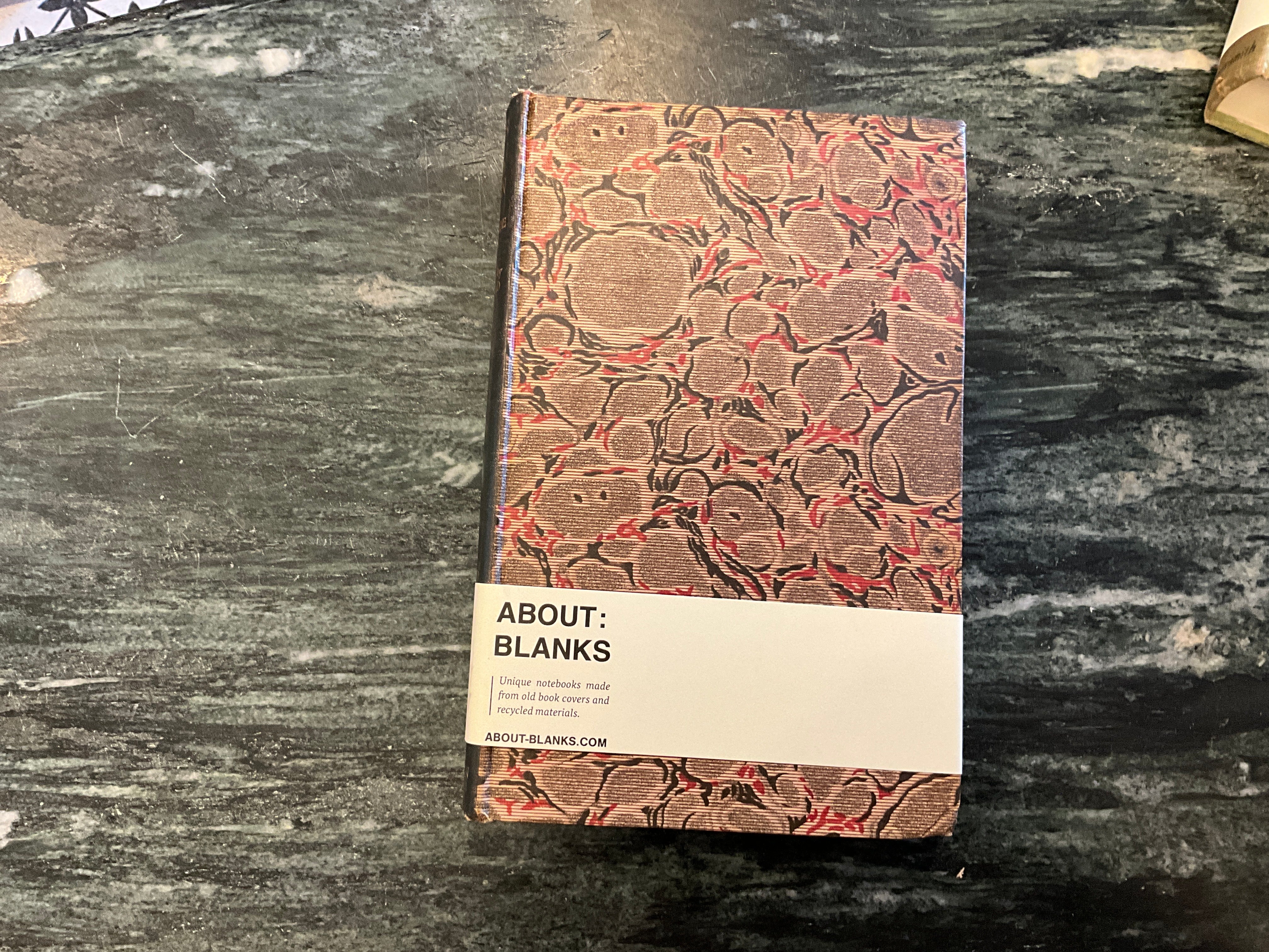 Vintage About Blanks Notebook: Days in Old Spain