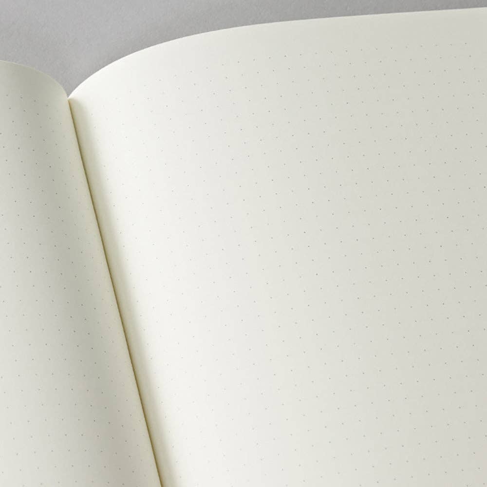 Notebook Classic (A5), Metallic Edition: Satin Champagne