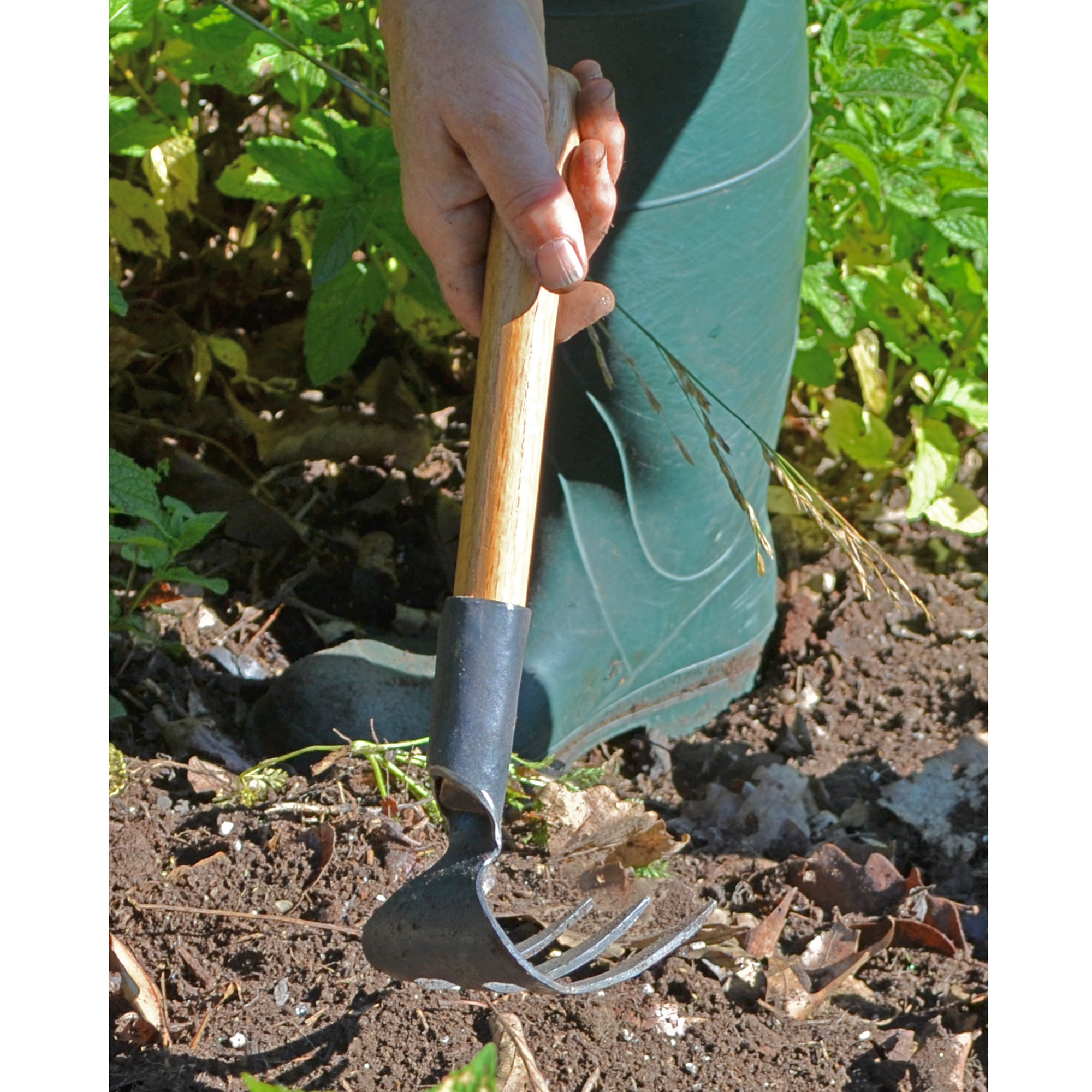 Master Shin - #70 Hand Cultivator 3-Tine