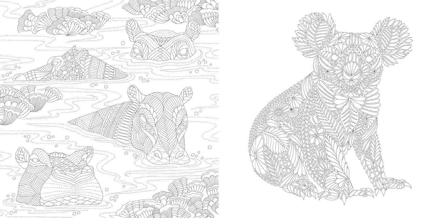 Millie Marotta's Wildlife Wonders Coloring Book