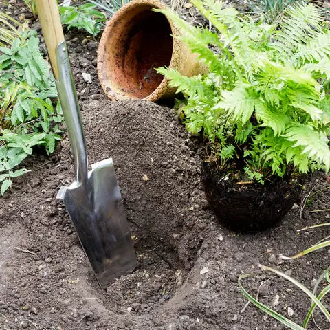 RHS Transplanting Spade