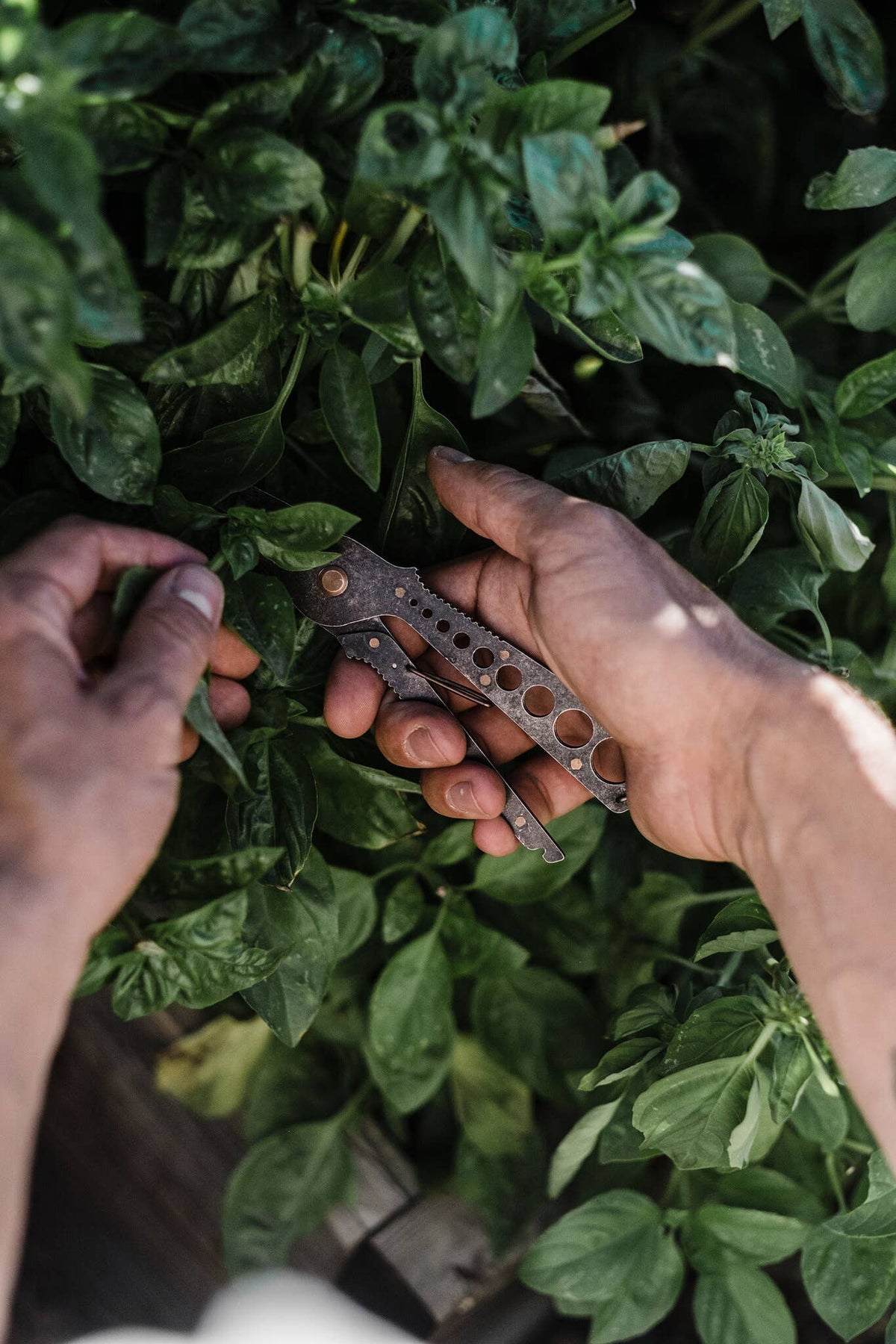 Herb Harvest + Strip Tool: Tumbled Black