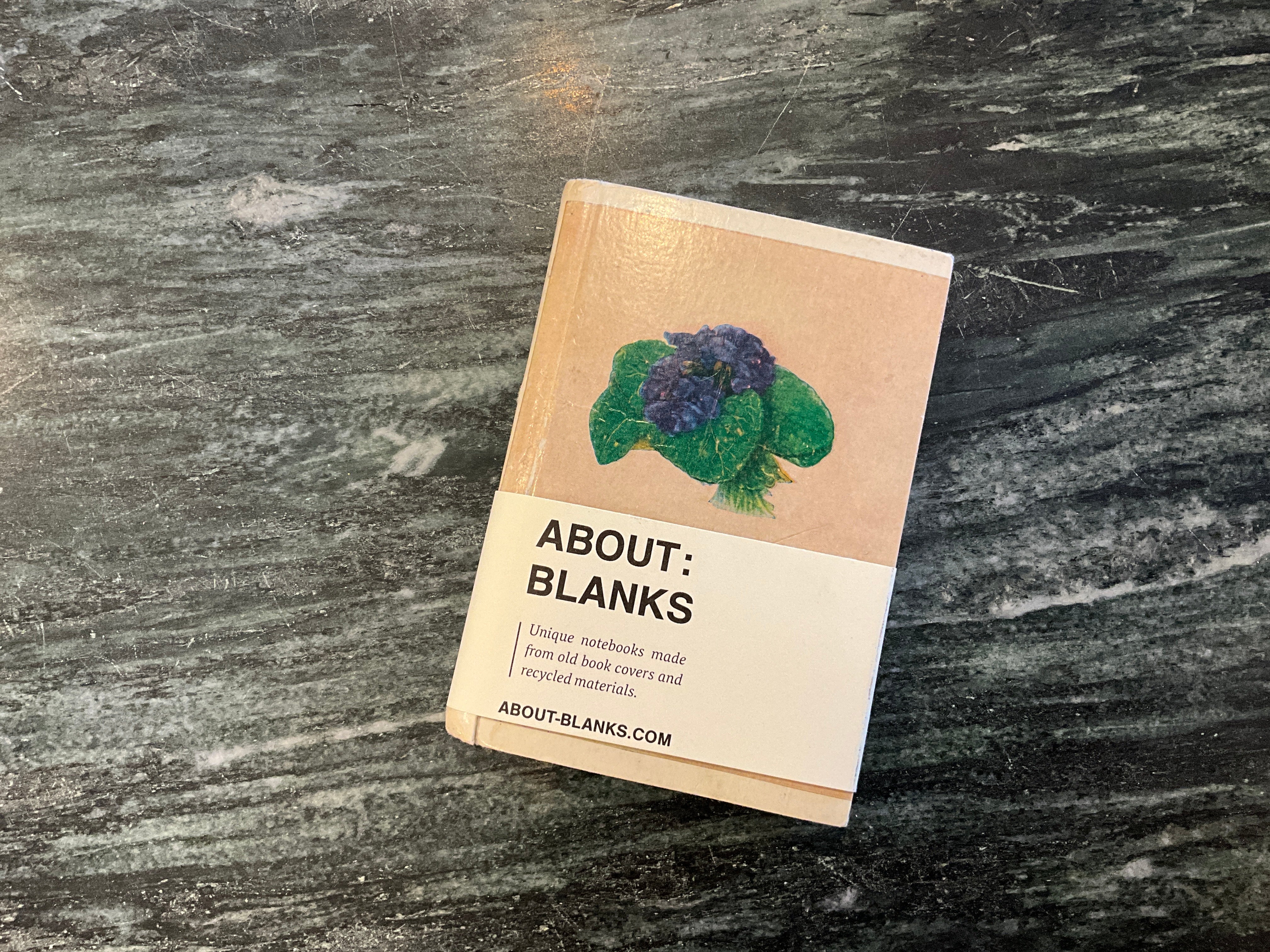 Vintage About Blanks Notebook: Flowers (Mini)