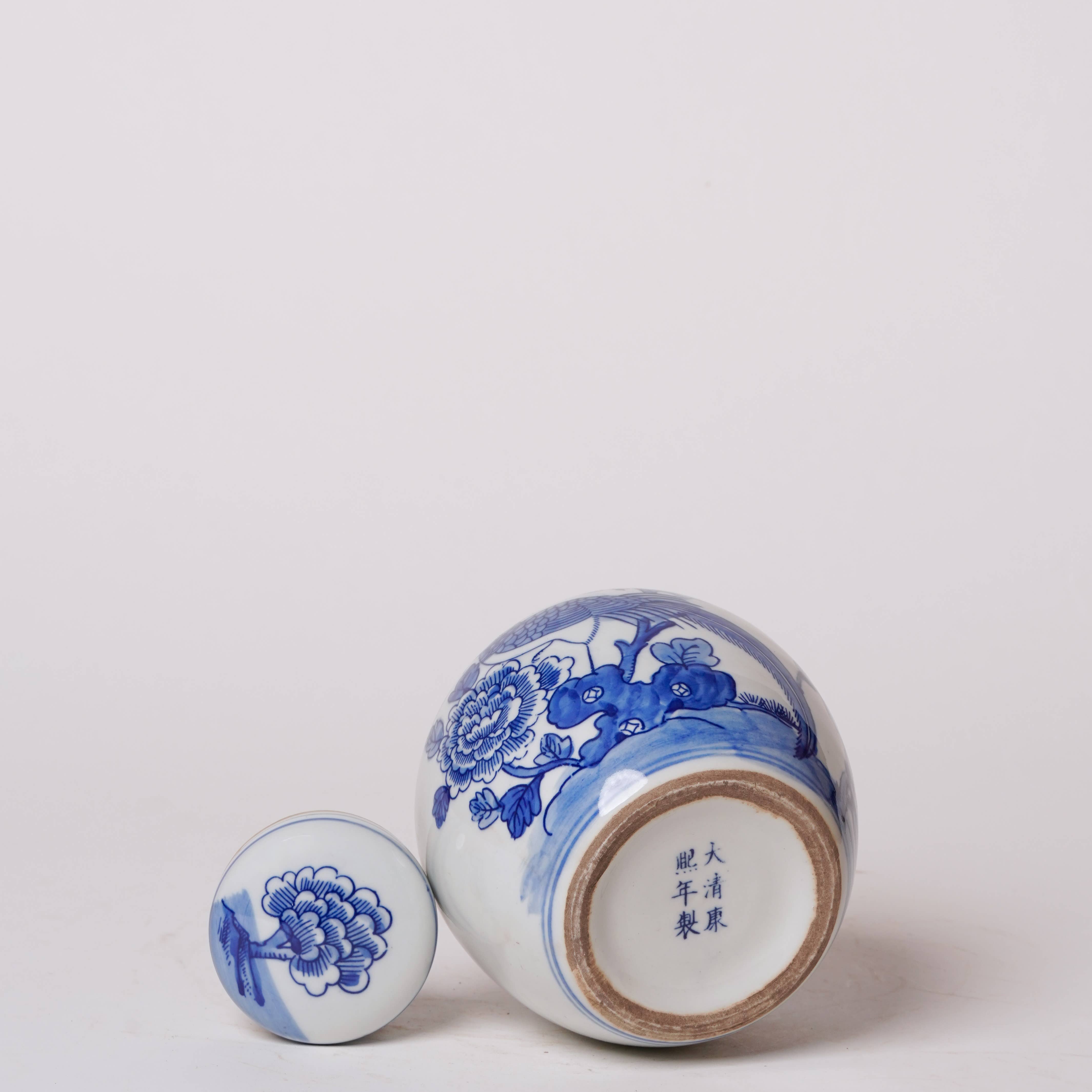 Blue and White Porcelain Golden Pheasant Round Storage Jar