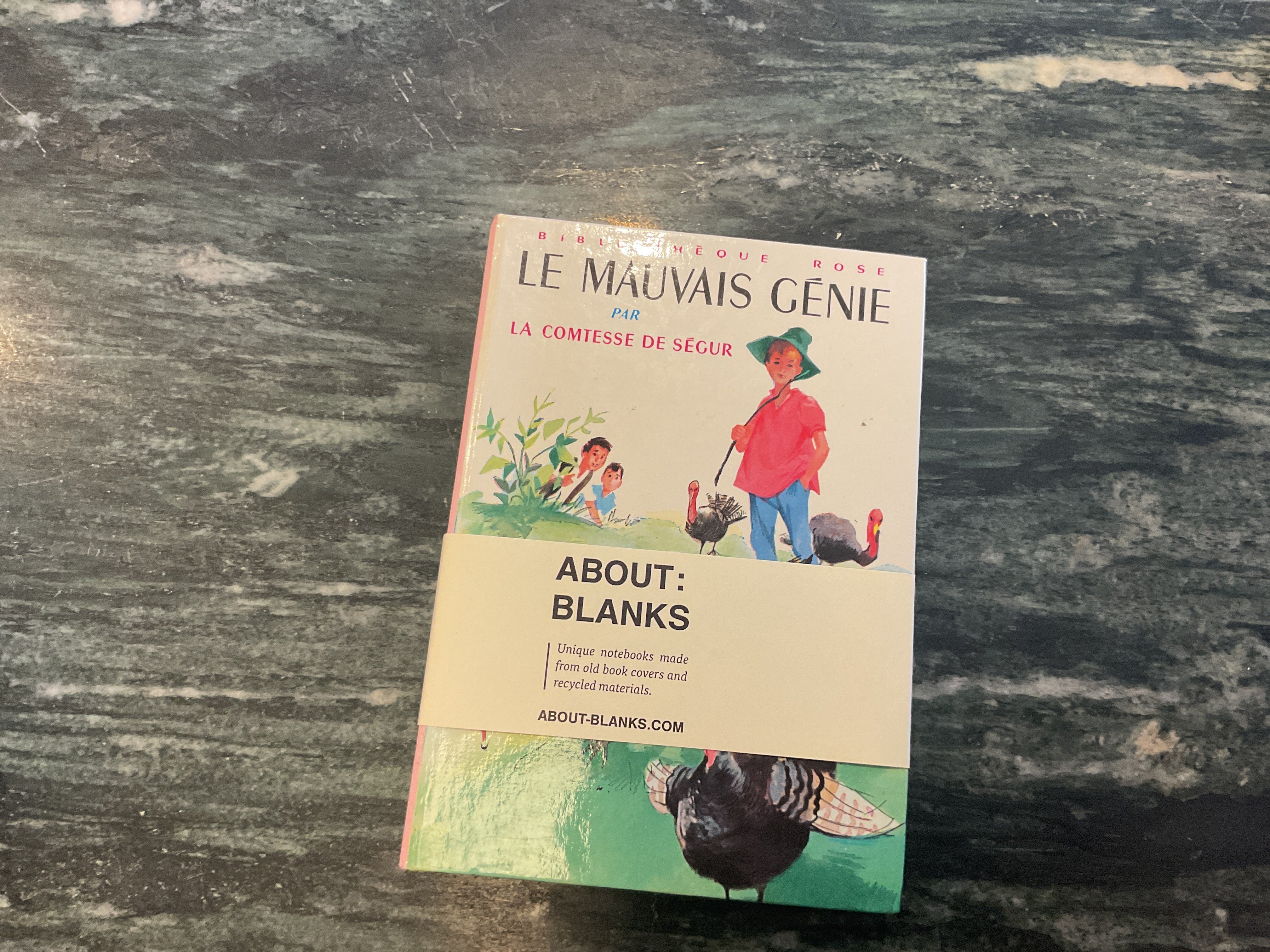Vintage About Blanks Notebook: Le Mauvais Gēnie
