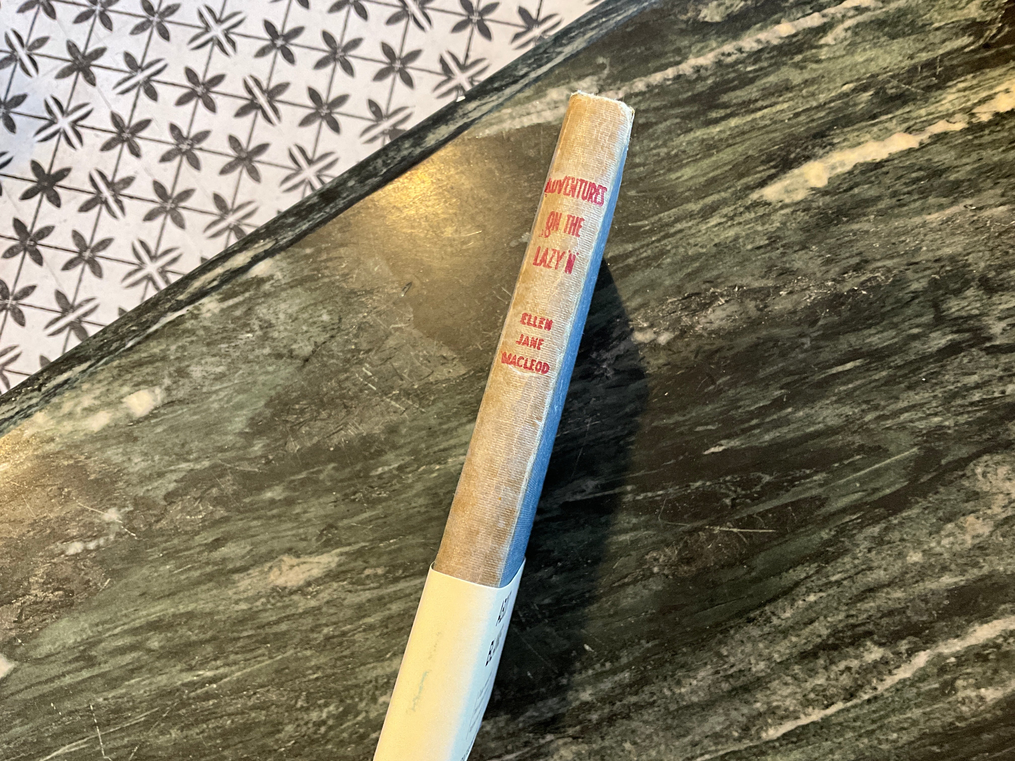 Vintage About Blanks Notebook: Adventures on the Lazy N