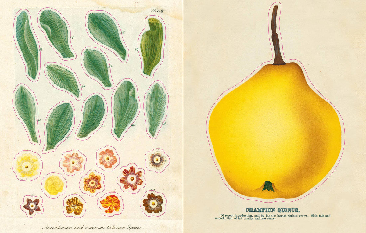 John Derian Sticker Book: Hardcover