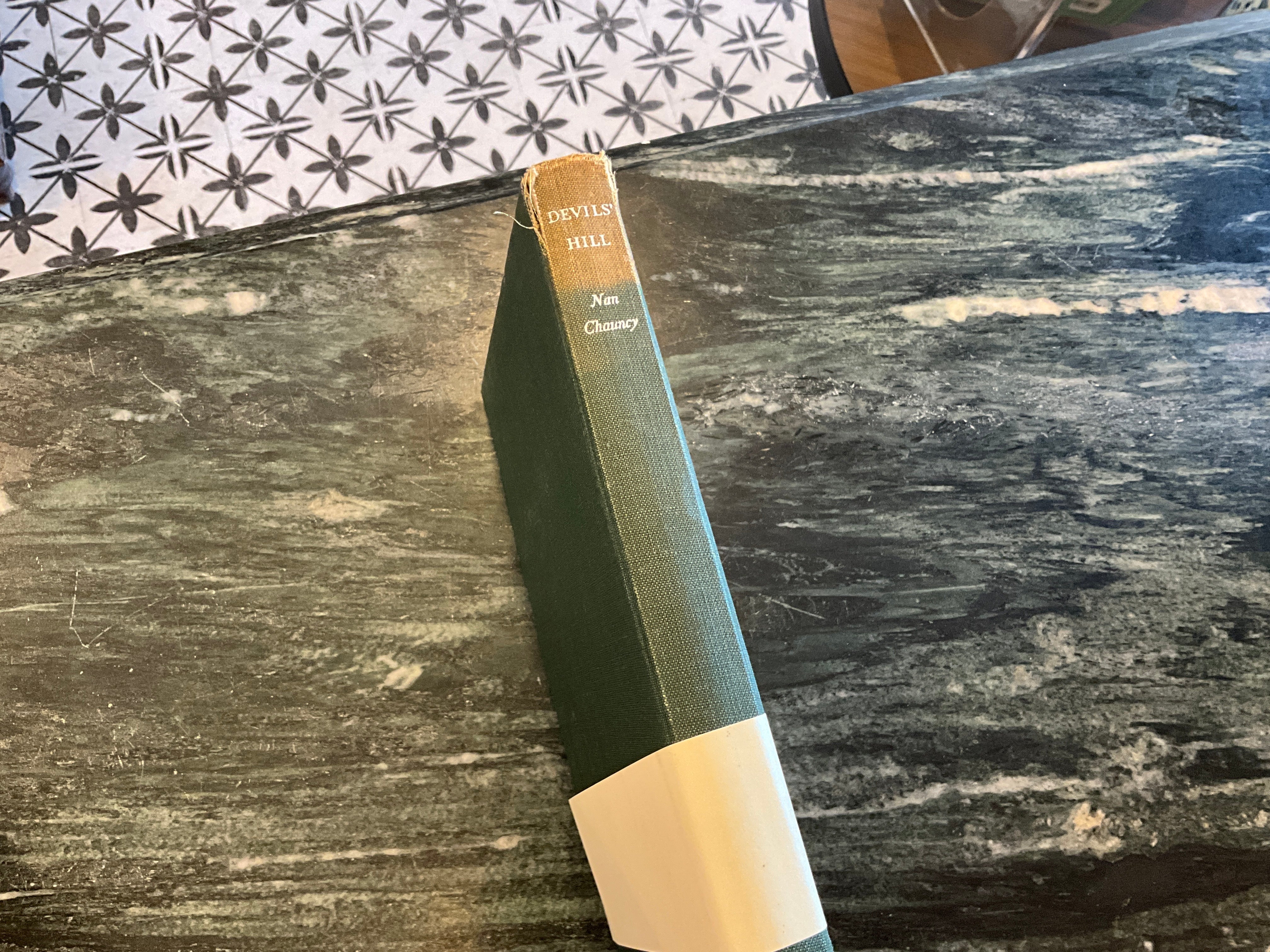 Vintage About Blanks Notebook: Devils Hill