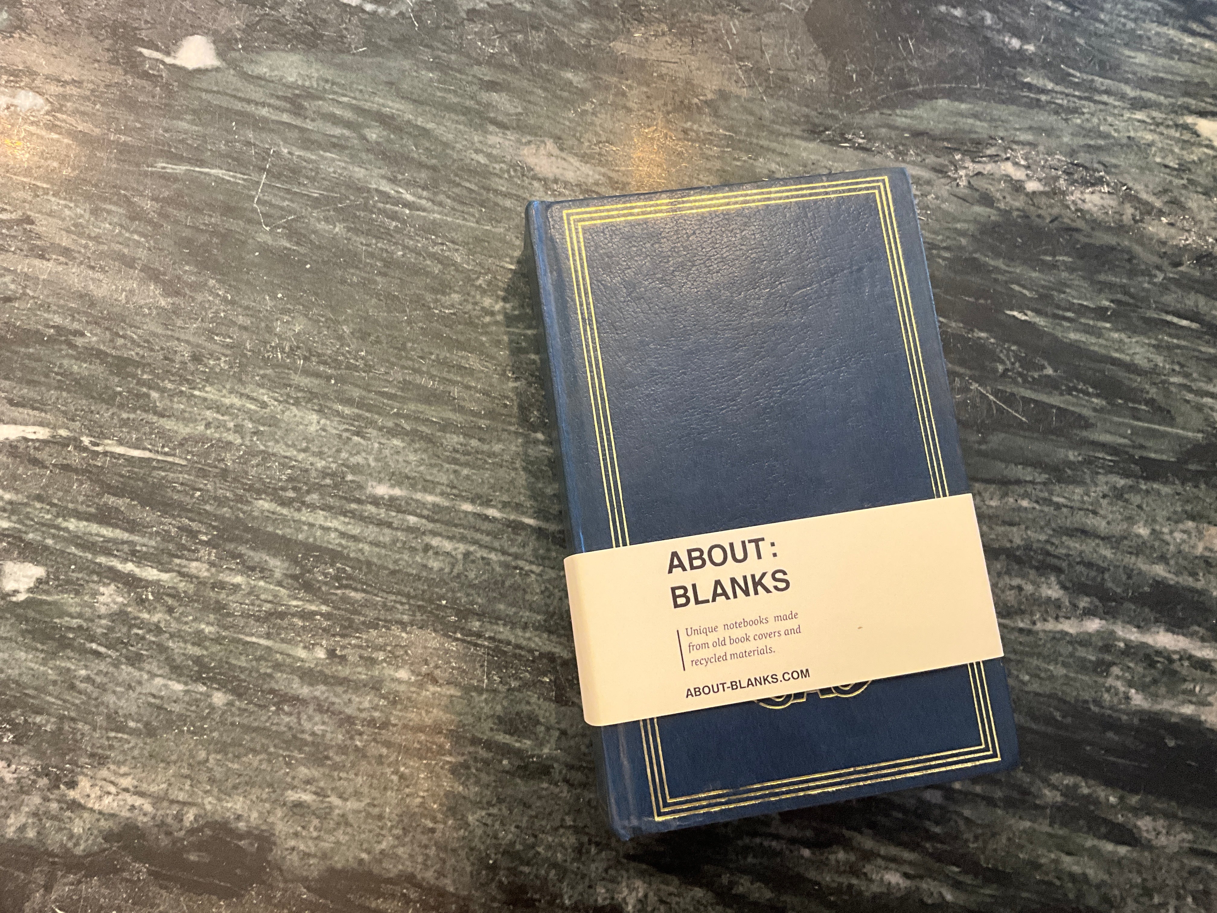 Vintage About Blanks Notebook: Émile Zola