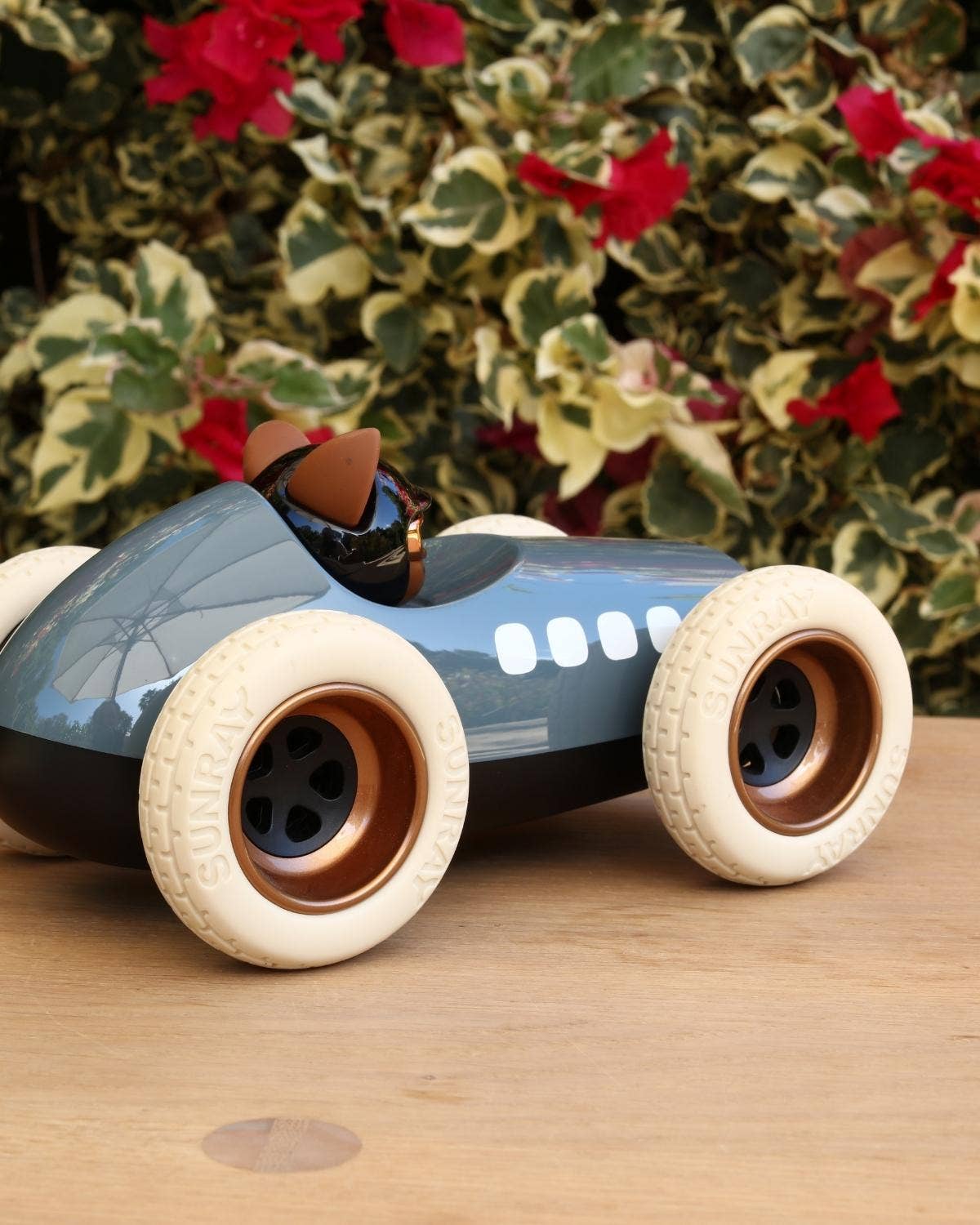 Car EGG: Egg Scrambler Blue
