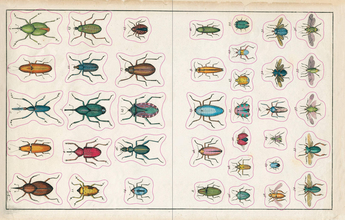 John Derian Sticker Book: Hardcover