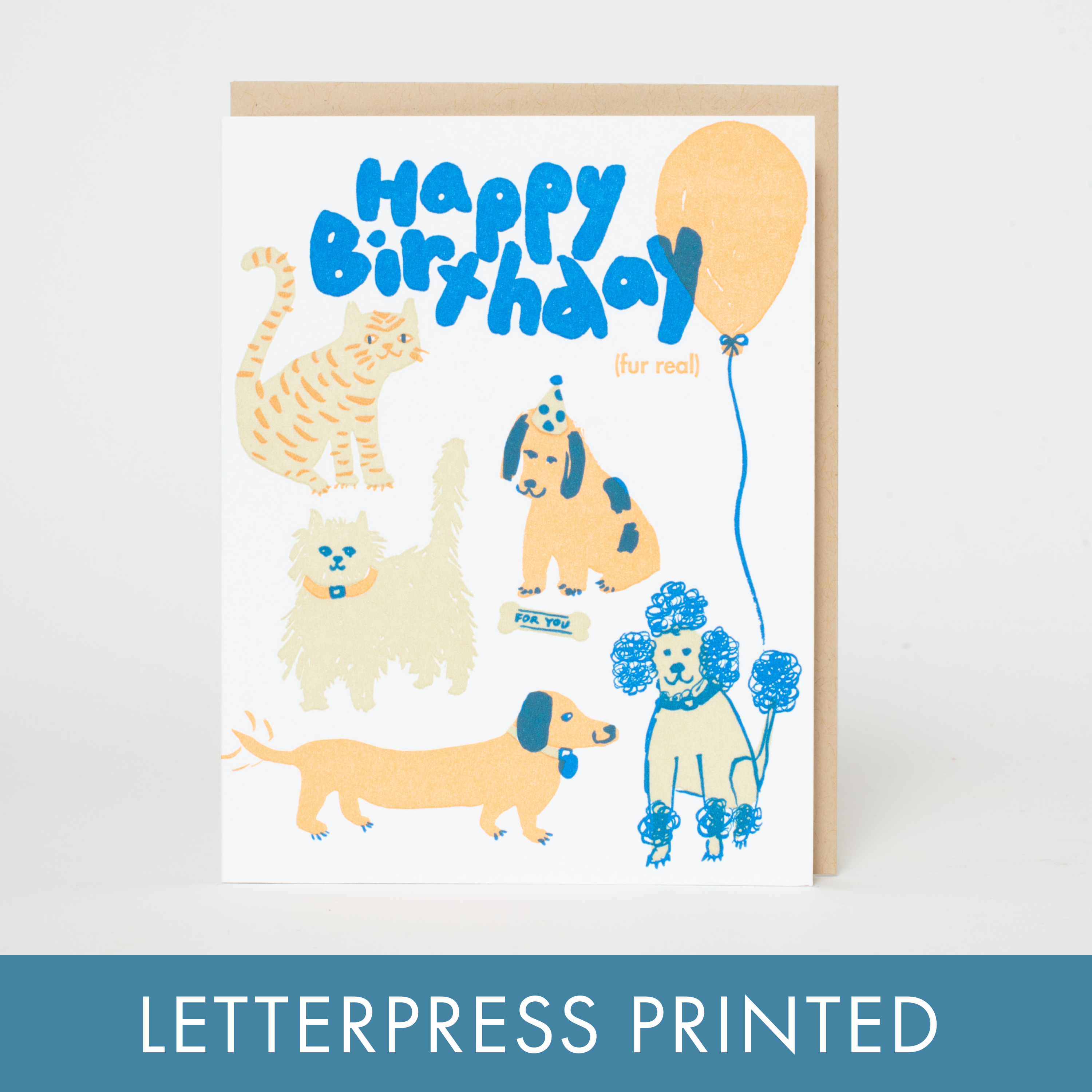 Birthday Dog & Cat Party Letterpress Greeting Card by Egg Press: Plastic sleeve