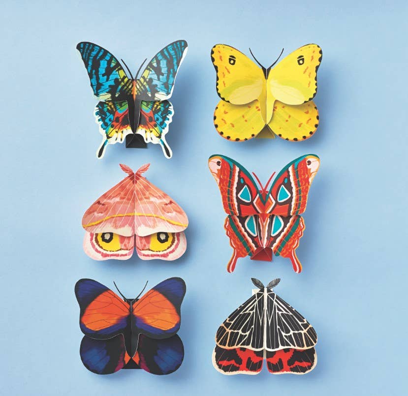 Moths & Butterflies Paper Craft Kit