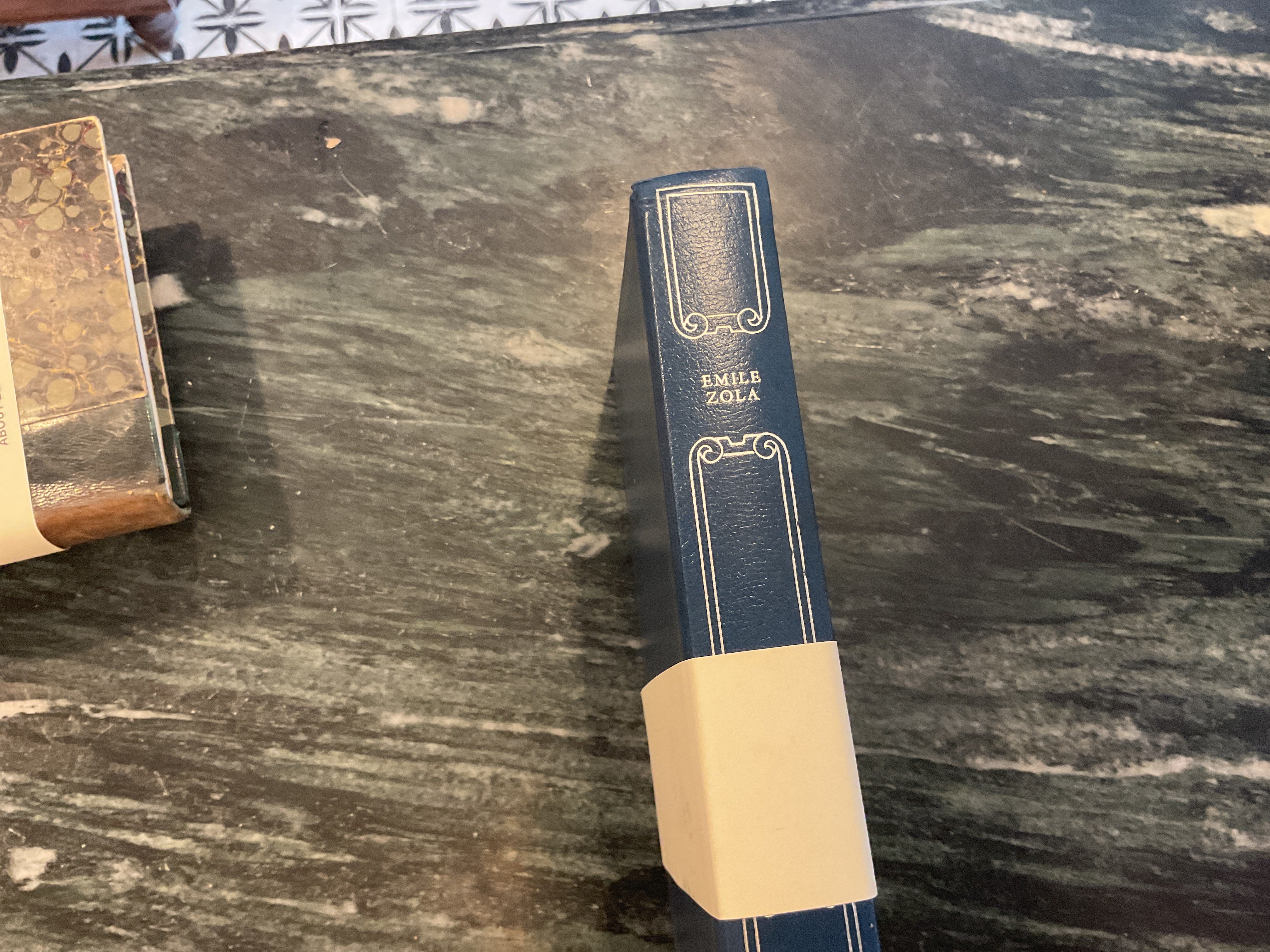 Vintage About Blanks Notebook: Emile Zola
