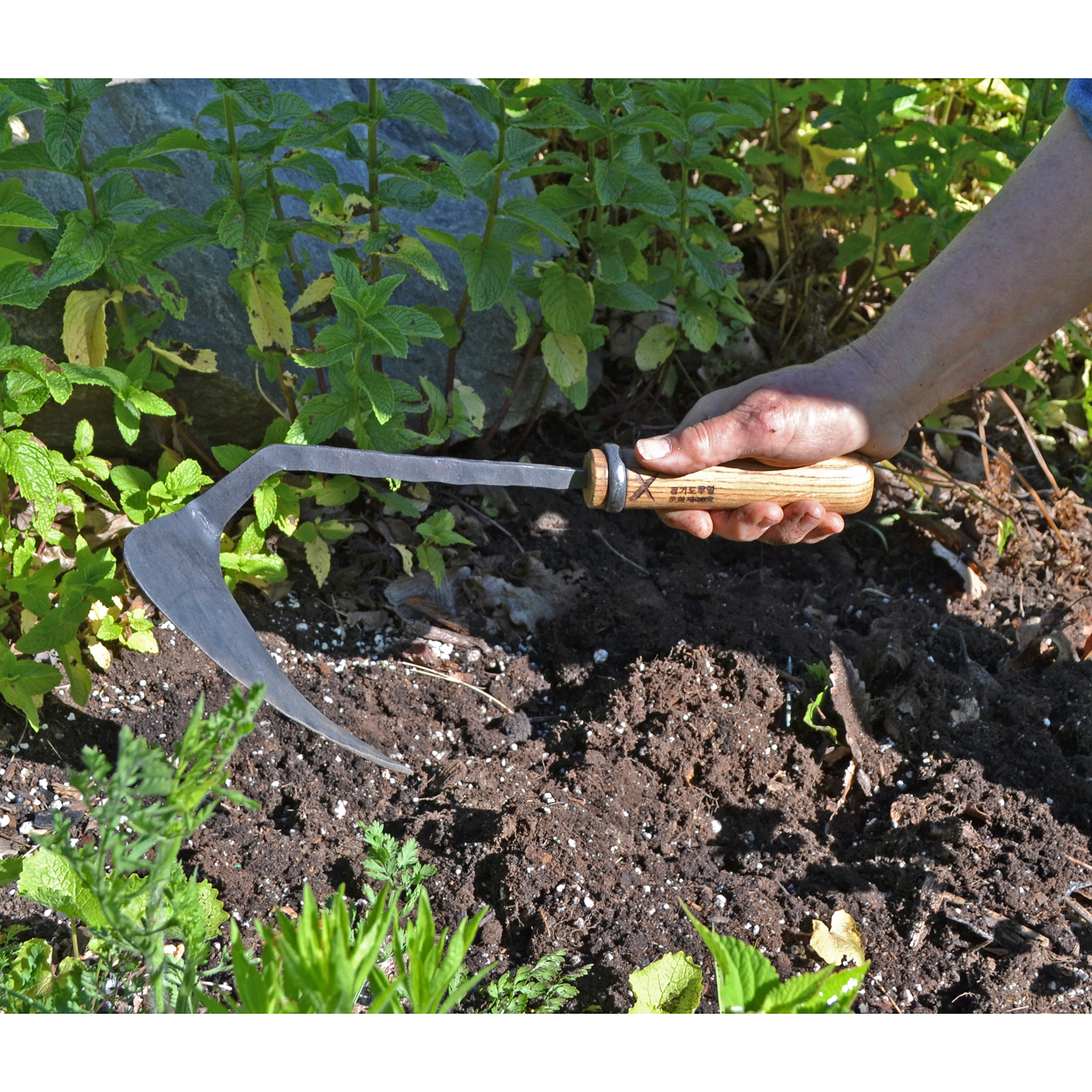 Master Shin - #65 Weeding Hoe, large