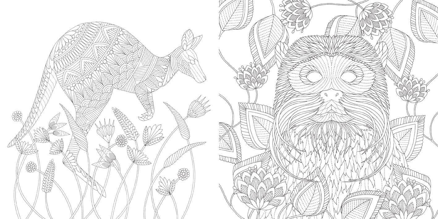 Millie Marotta's Brilliant Beasts Coloring Book