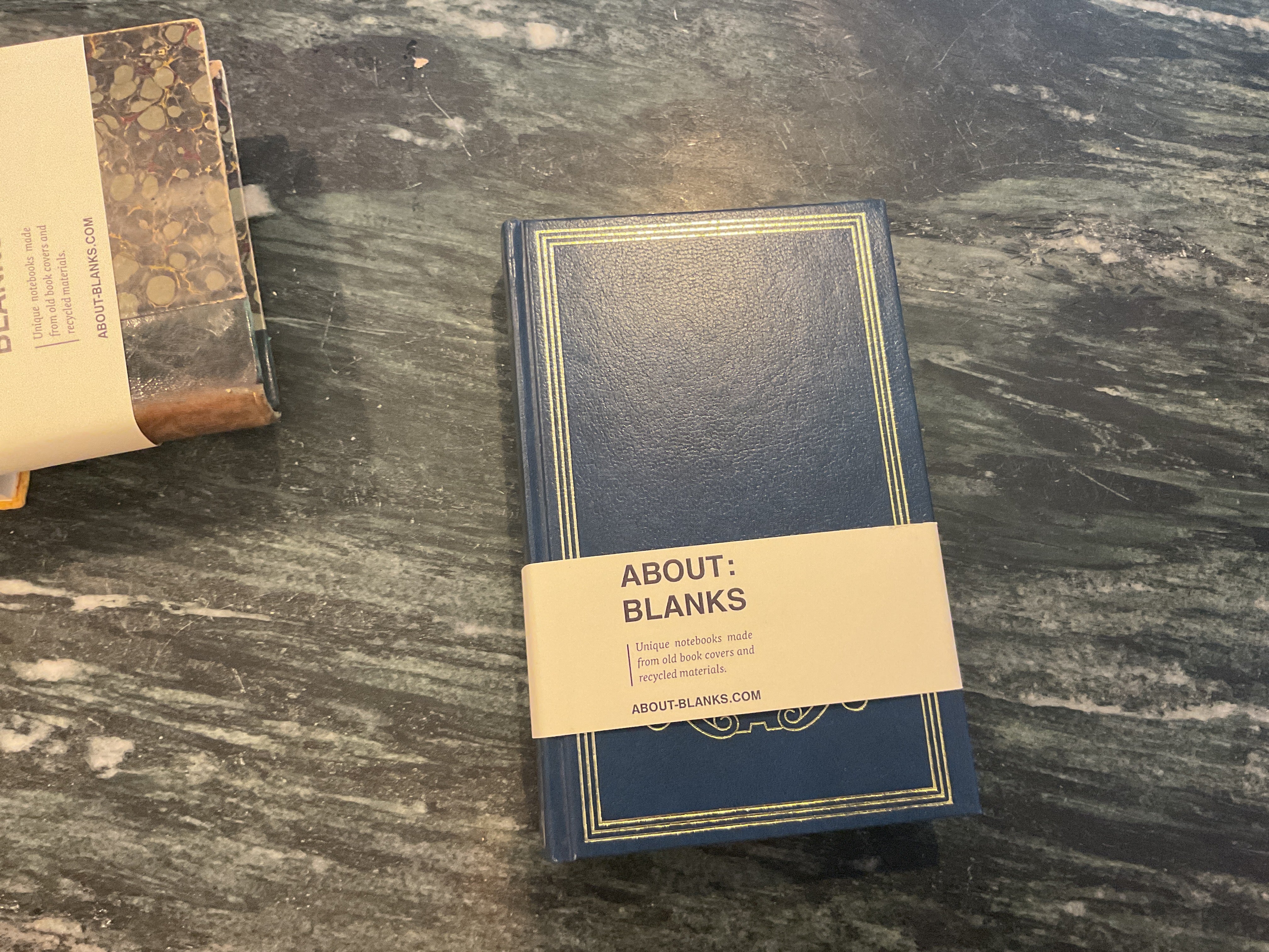 Vintage About Blanks Notebook: Emile Zola