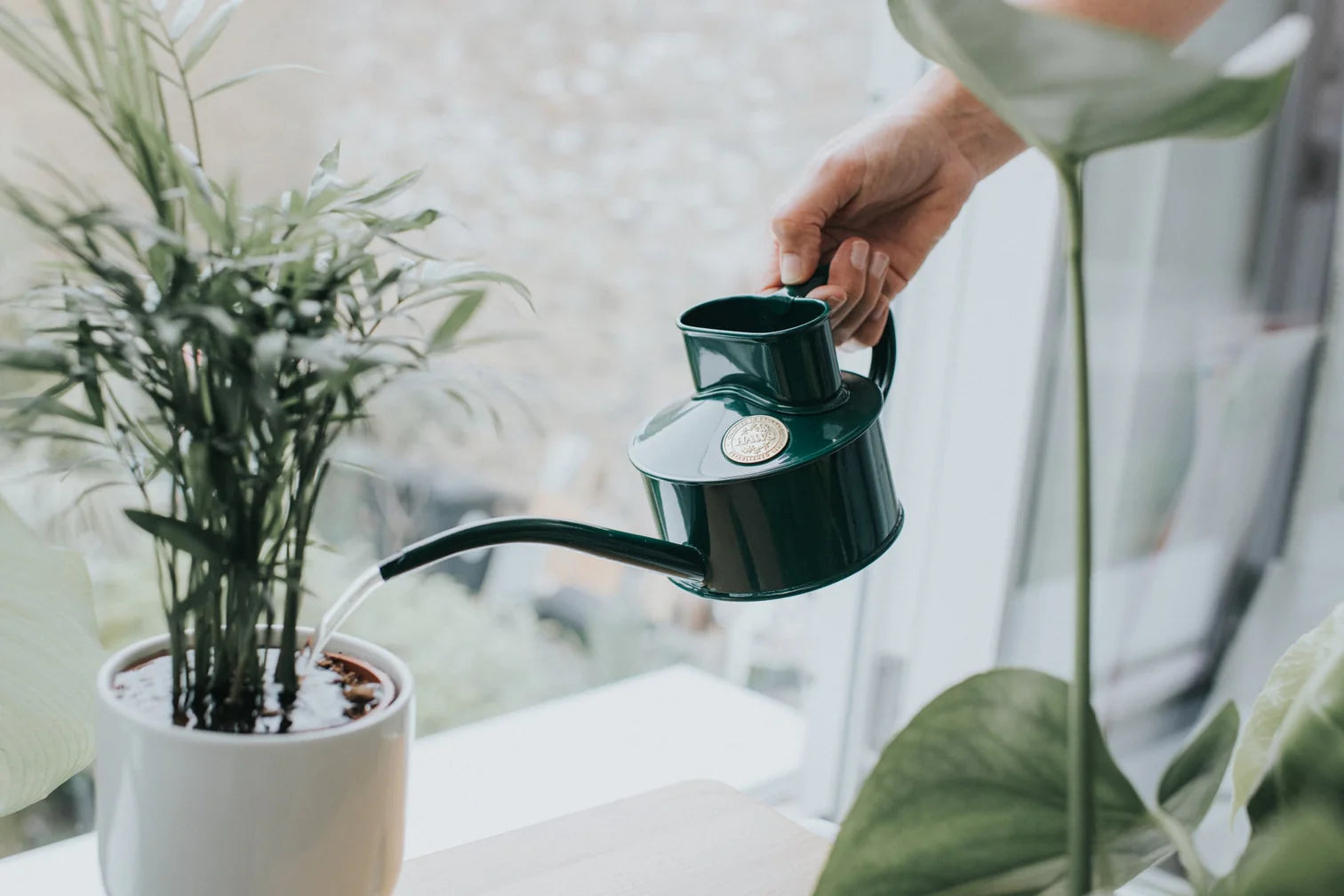 The Fazeley Flow Watering Can by Haws - Green 1 pint