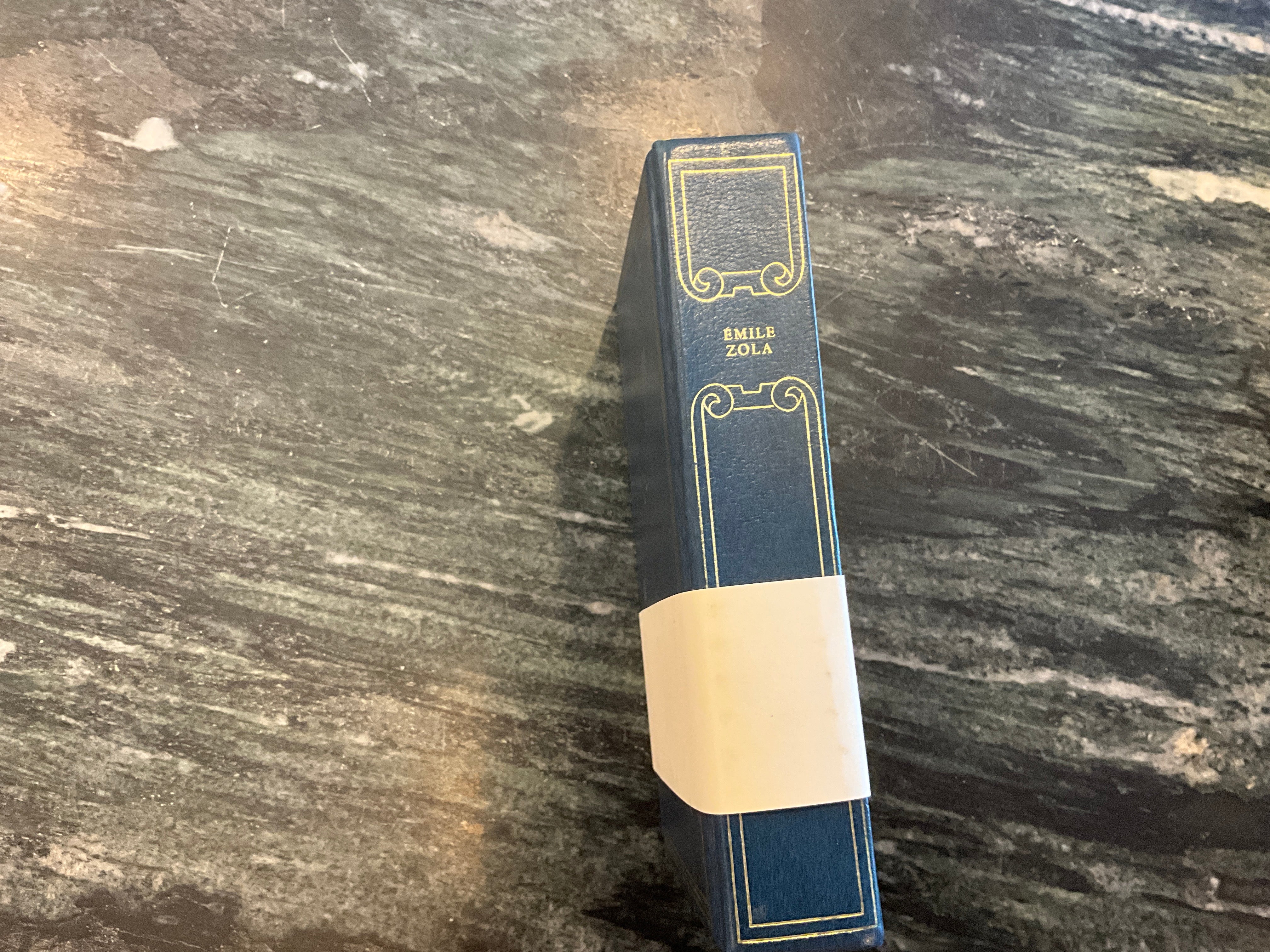 Vintage About Blanks Notebook: Émile Zola