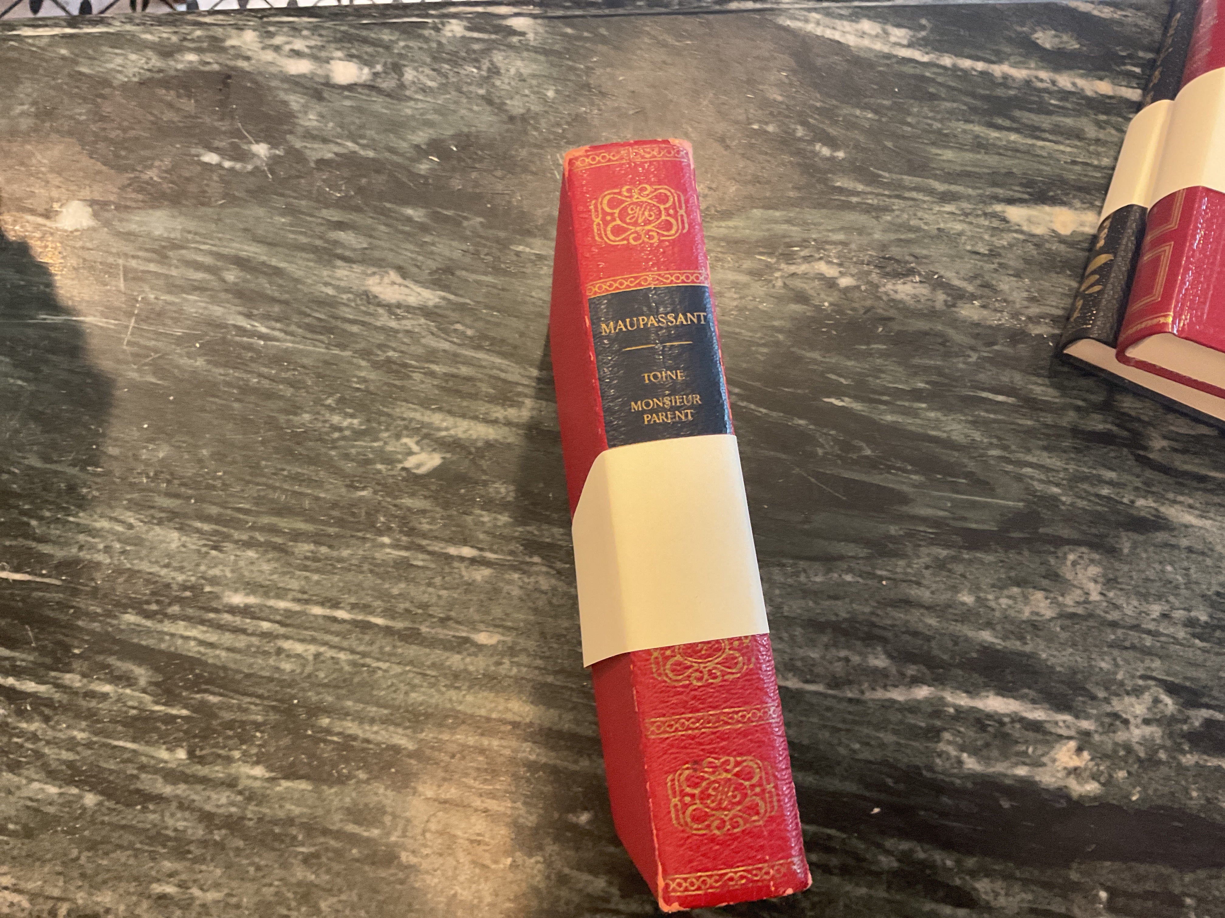 Vintage About Blanks Notebook: Maupassant