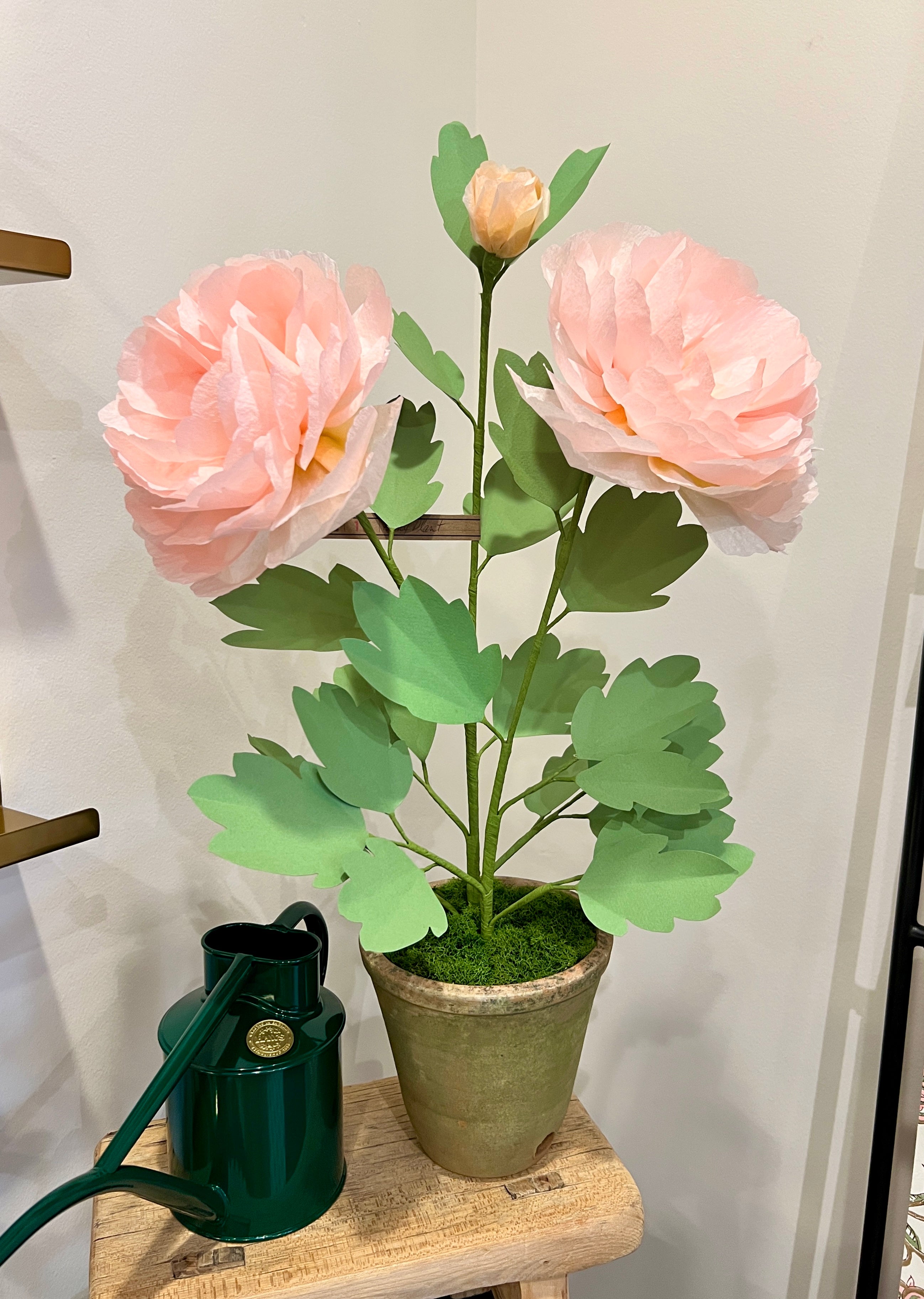Green Vase Peony