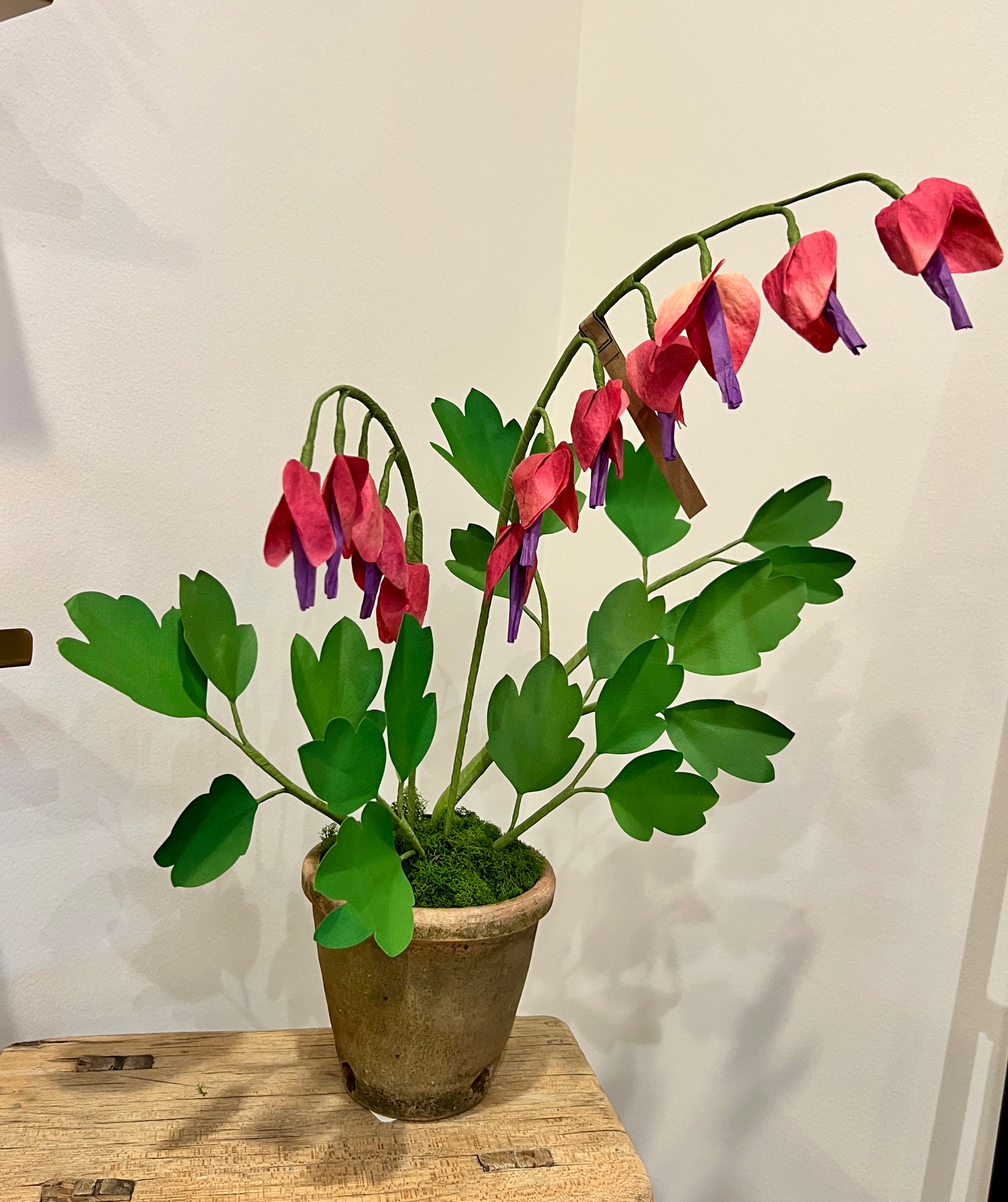 Green Vase Bleeding Heart