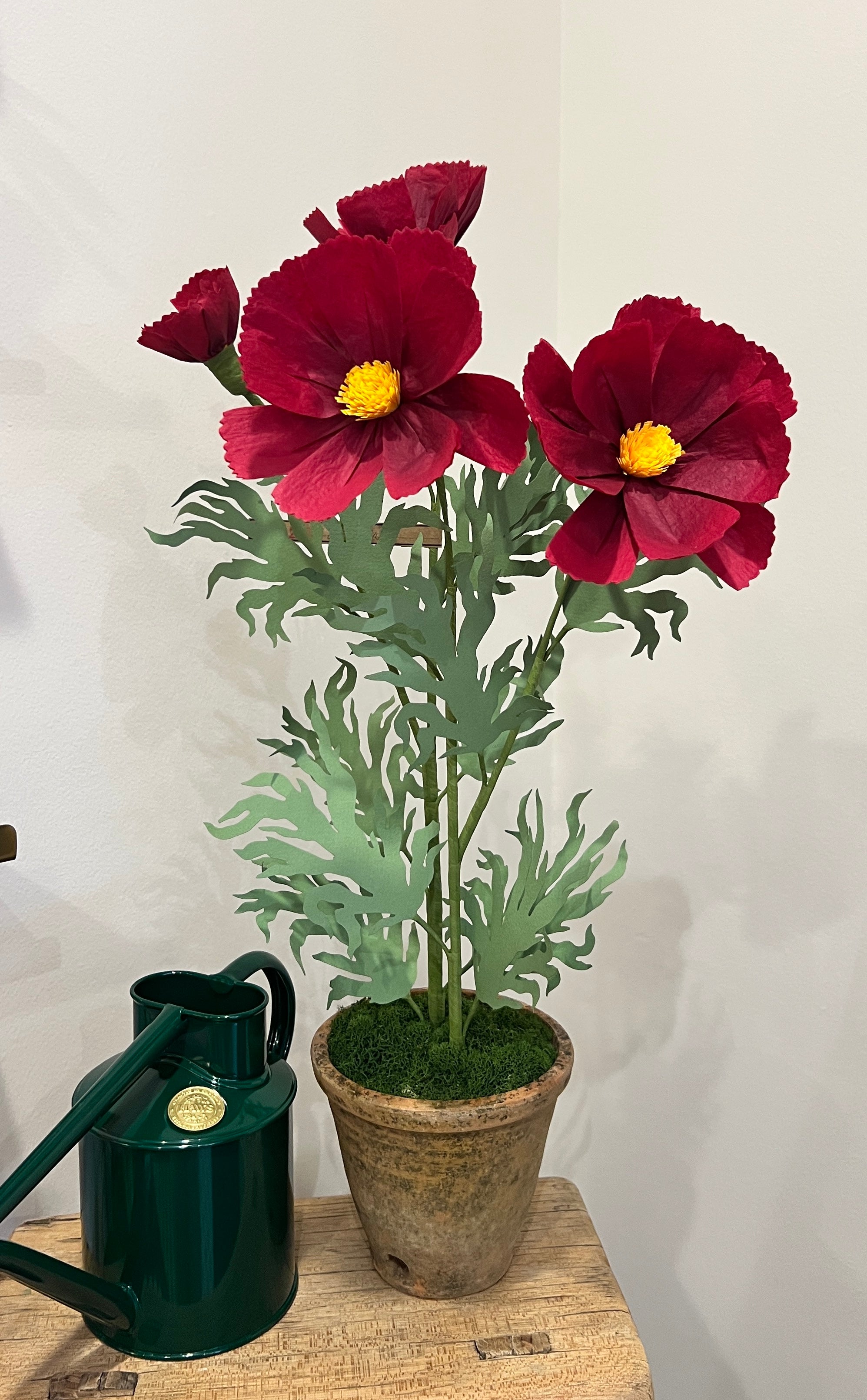 Green Vase Cosmo