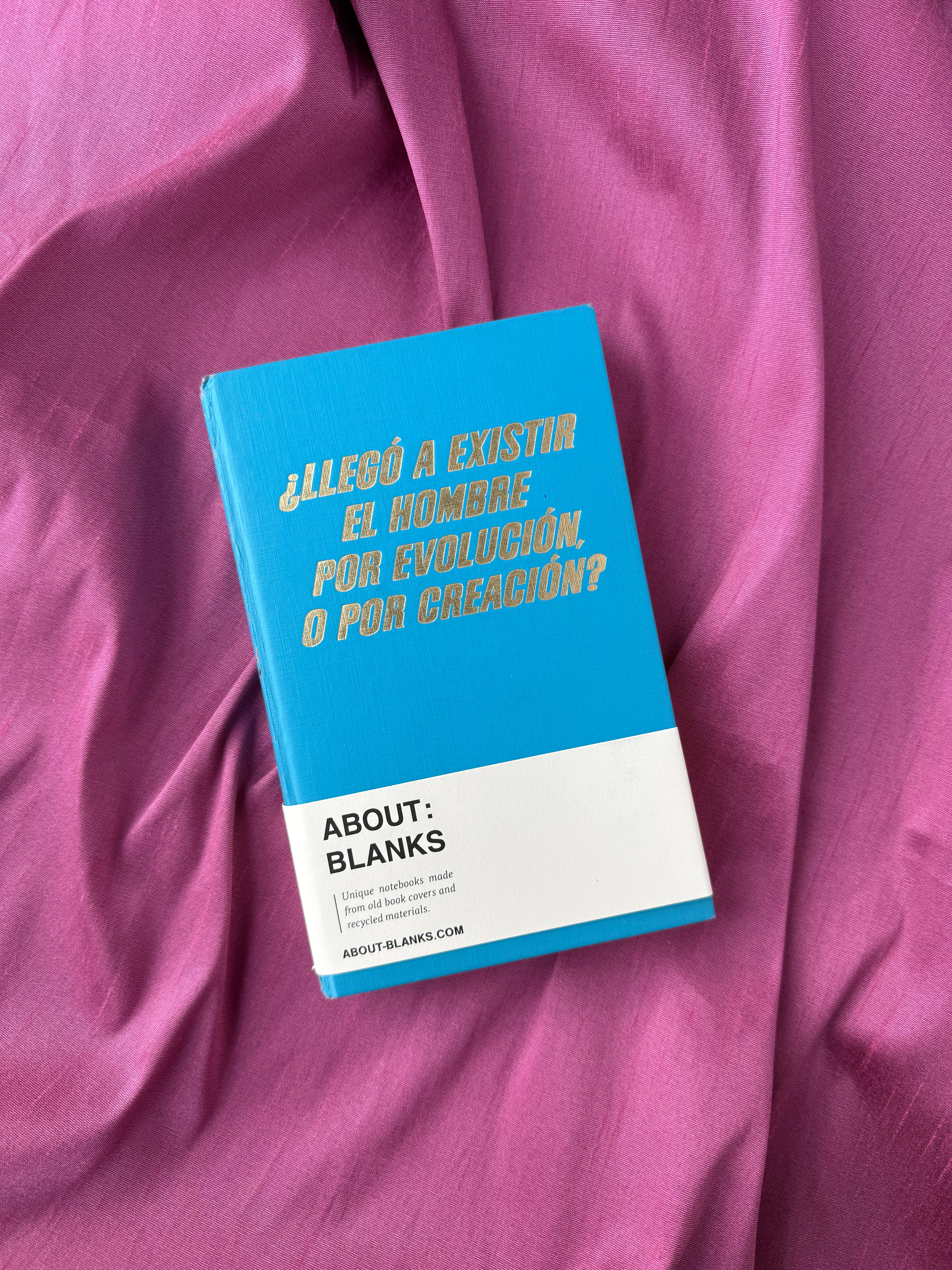 Vintage About Blanks Notebook: llego