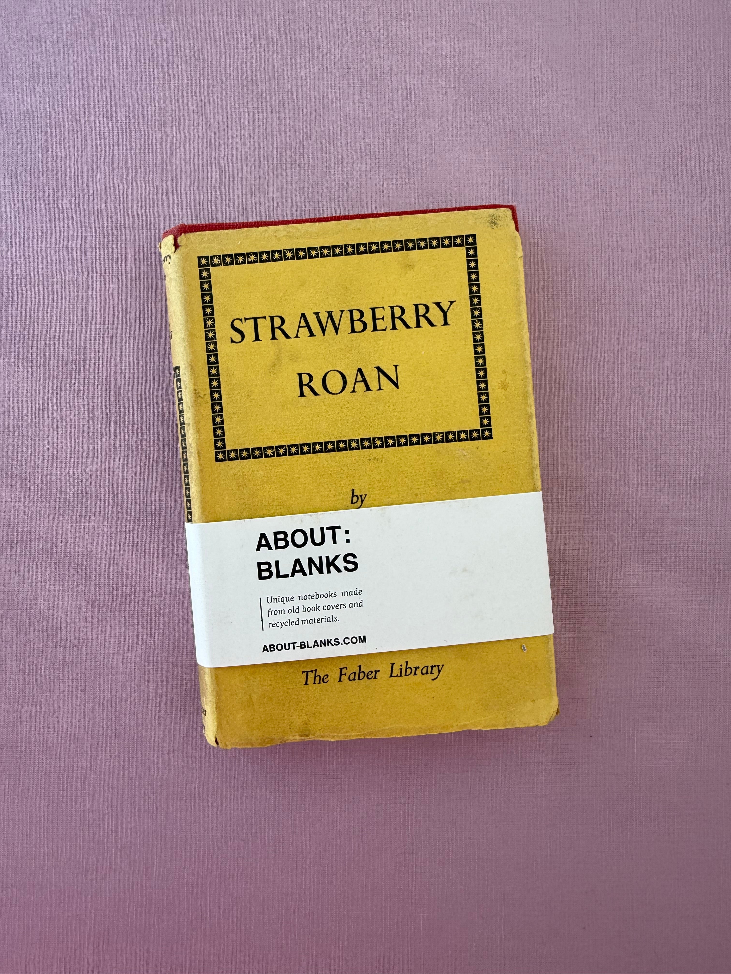 Vintage About Blanks Notebook: strawberry roan