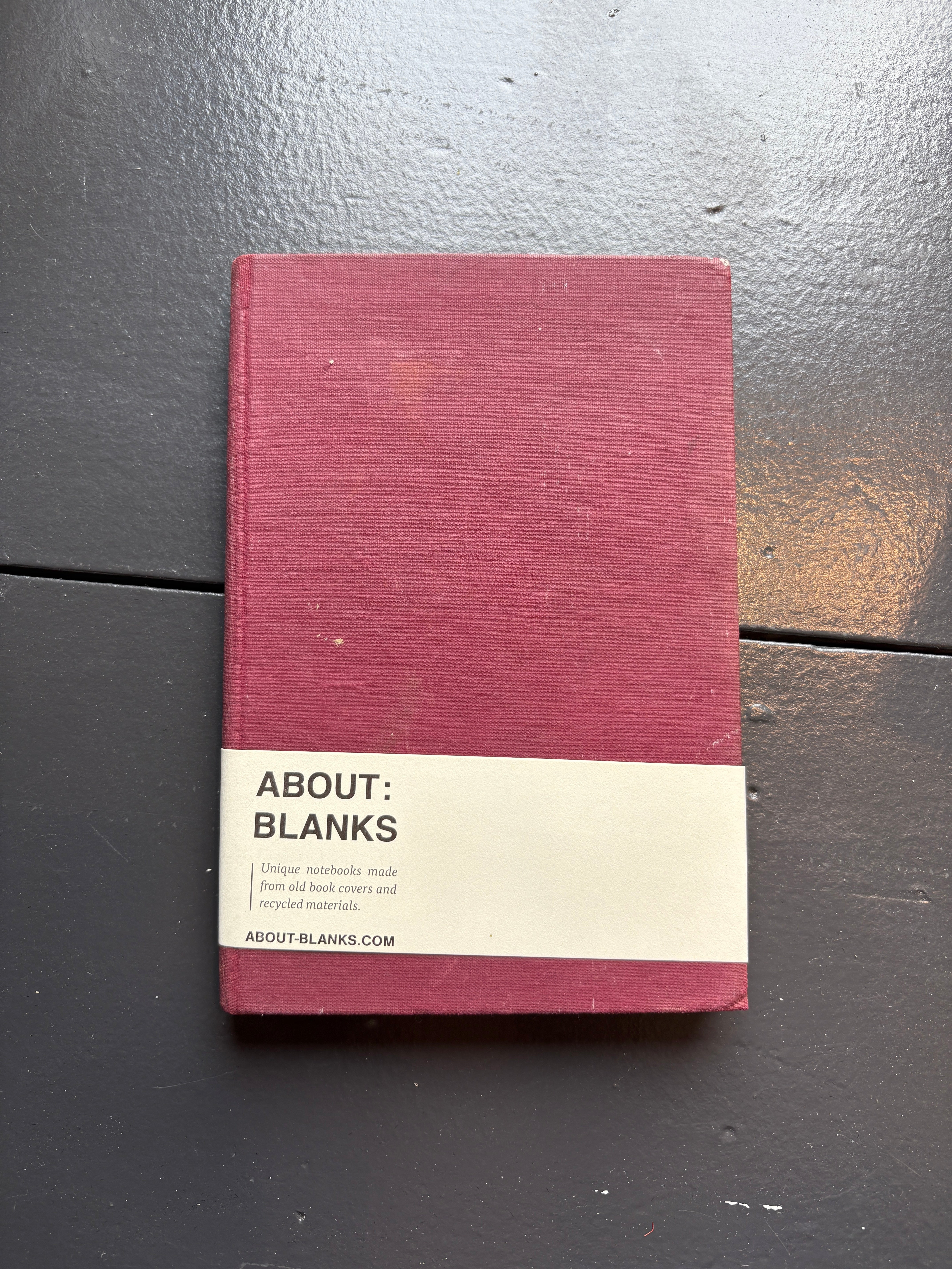 Vintage About Blanks Notebook: Jungle Pilot