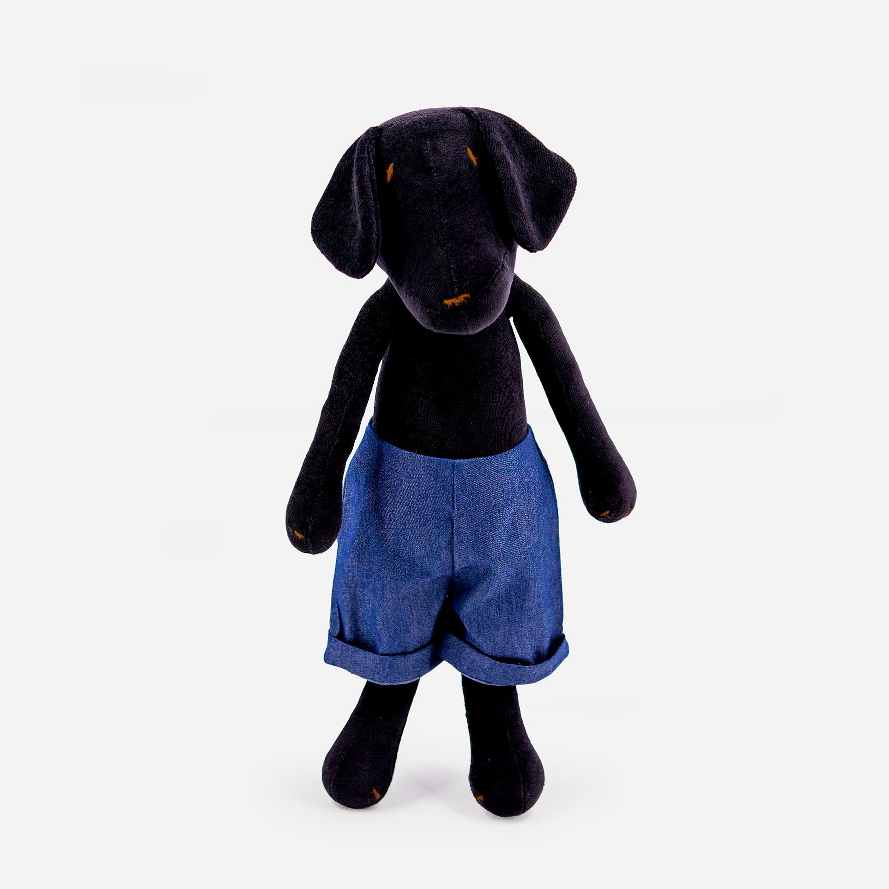 MAX THE LABRADOR
